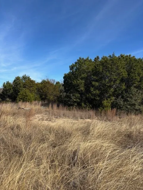 Unimproved Land For Sale in Parker County , 1255 Eagles Bluff Drive, Weatherford, Texas 76087, 0, 0, Garage spaces, 0 Sqft, built in 0, Price $350,000, mls#21247866, Real Estate Agent in Weatherford, Homes For Sale in Parker county, Homes For Sale in Weatherford, Realtor in Weatherford Texas, Real Estate Brokerage Independent Realty Texas, Luminita Cordes Realtor