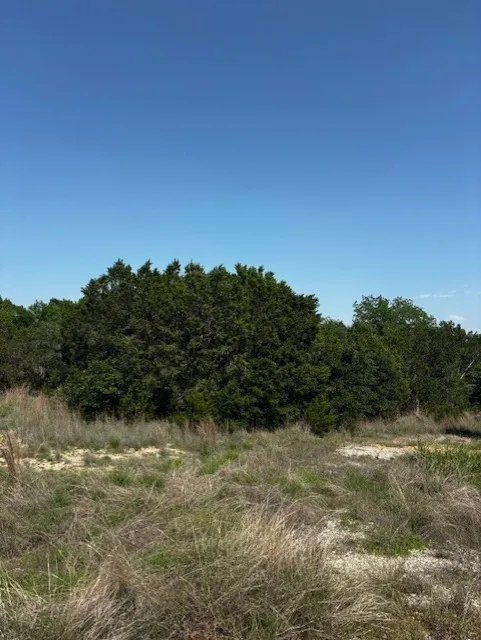 Unimproved Land For Sale in Parker County , 1255 Eagles Bluff Drive, Weatherford, Texas 76087, 0, 0, Garage spaces, 0 Sqft, built in 0, Price $350,000, mls#21247866, Real Estate Agent in Weatherford, Homes For Sale in Parker county, Homes For Sale in Weatherford, Realtor in Weatherford Texas, Real Estate Brokerage Independent Realty Texas, Luminita Cordes Realtor