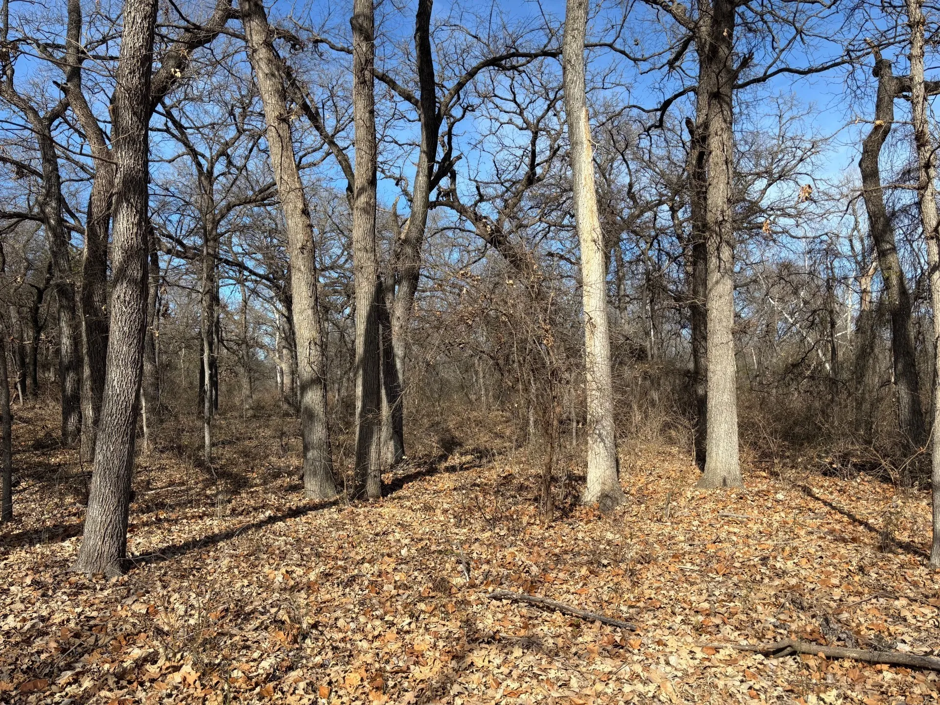 Unimproved Land For Sale in Parker County , 1255 Eagles Bluff Drive, Weatherford, Texas 76087, 0, 0, Garage spaces, 0 Sqft, built in 0, Price $350,000, mls#21247866, Real Estate Agent in Weatherford, Homes For Sale in Parker county, Homes For Sale in Weatherford, Realtor in Weatherford Texas, Real Estate Brokerage Independent Realty Texas, Luminita Cordes Realtor