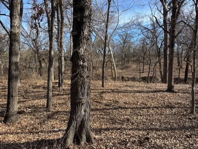 Unimproved Land For Sale in Parker County , 1255 Eagles Bluff Drive, Weatherford, Texas 76087, 0, 0, Garage spaces, 0 Sqft, built in 0, Price $350,000, mls#21247866, Real Estate Agent in Weatherford, Homes For Sale in Parker county, Homes For Sale in Weatherford, Realtor in Weatherford Texas, Real Estate Brokerage Independent Realty Texas, Luminita Cordes Realtor
