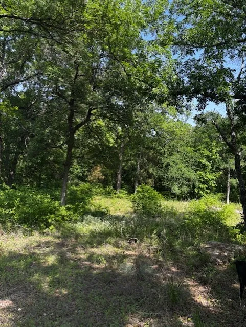 Unimproved Land For Sale in Parker County , 1255 Eagles Bluff Drive, Weatherford, Texas 76087, 0, 0, Garage spaces, 0 Sqft, built in 0, Price $350,000, mls#21247866, Real Estate Agent in Weatherford, Homes For Sale in Parker county, Homes For Sale in Weatherford, Realtor in Weatherford Texas, Real Estate Brokerage Independent Realty Texas, Luminita Cordes Realtor