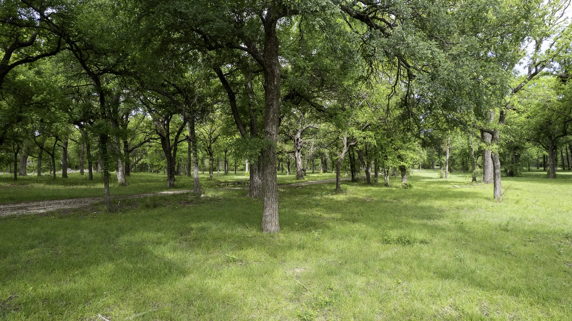 The property features an expansive natural landscape with numerous mature trees