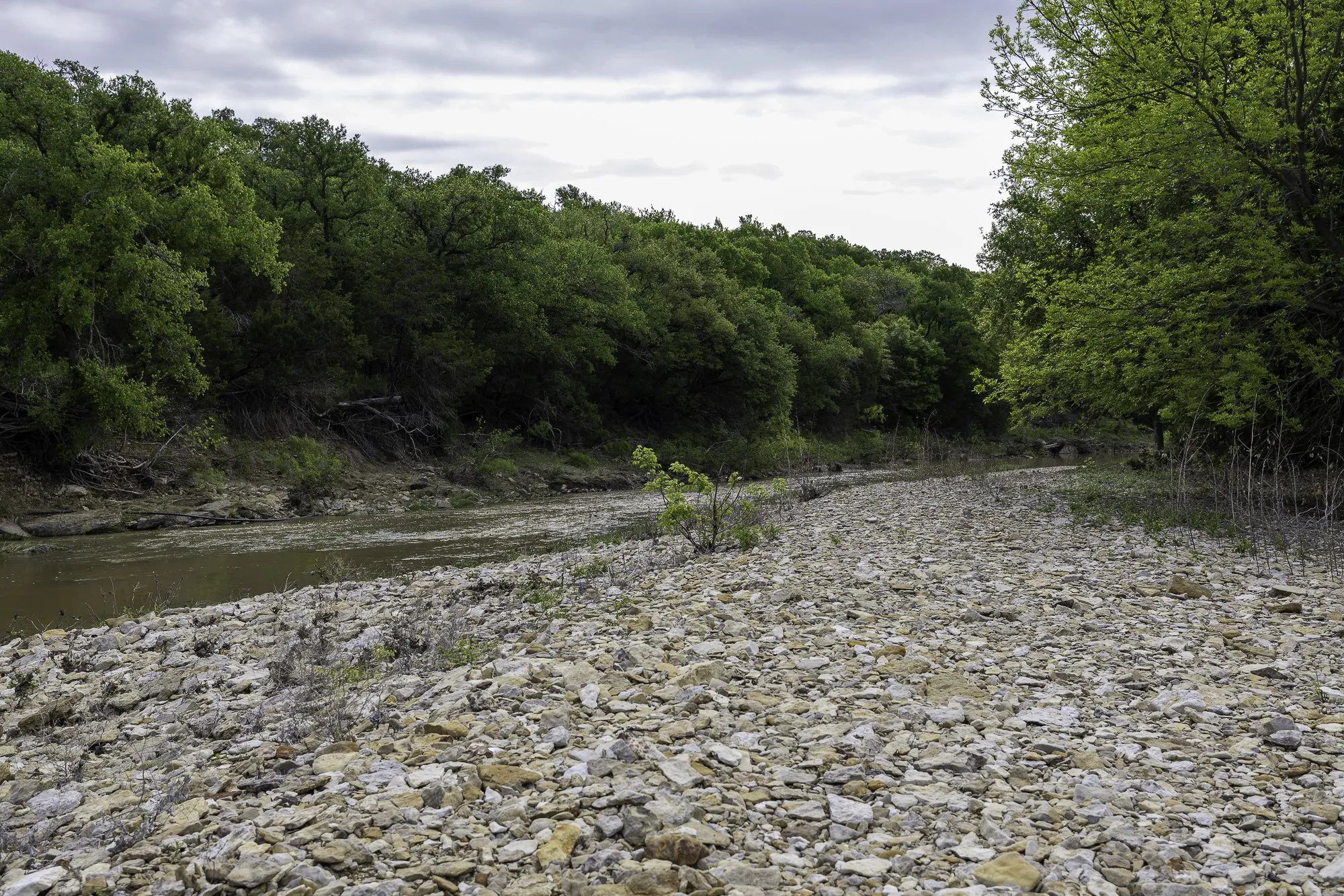Rocky creek bed.