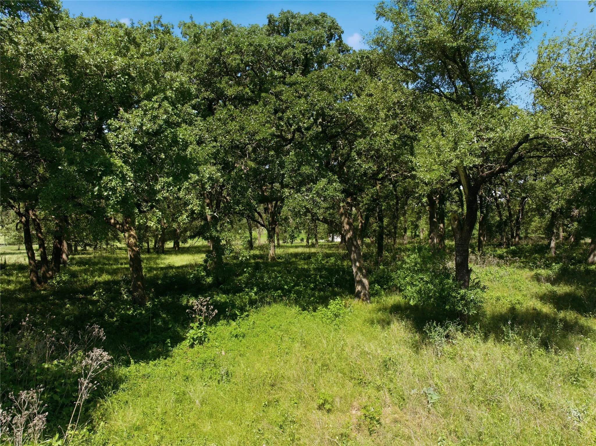 Improved Land For Sale in Hill County , 1187 Hcr 2200, Aquilla, Texas 76622, 0, 0, Garage spaces, 0 Sqft, built in 0, mls#21258949, Real Estate Agent in Aquilla, Homes For Sale in Hill county, Homes For Sale in Aquilla, Realtor in Aquilla Texas, Real Estate Brokerage Independent Realty Texas, Luminita Cordes Realtor