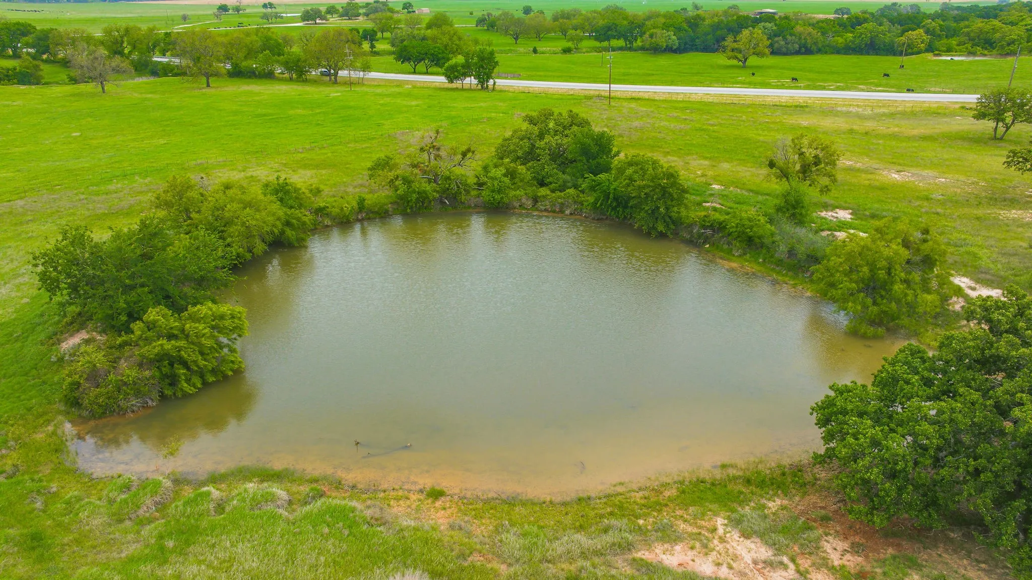 Ranch For Sale in Comanche County , 7450 E Hwy 6 2, De Leon, Texas 76444, 0, 0, Garage spaces, 0 Sqft, built in 0, Price $595,000, mls#21258942, Real Estate Agent in De Leon, Homes For Sale in Comanche county, Homes For Sale in De Leon, Realtor in De Leon Texas, Real Estate Brokerage Independent Realty Texas, Luminita Cordes Realtor