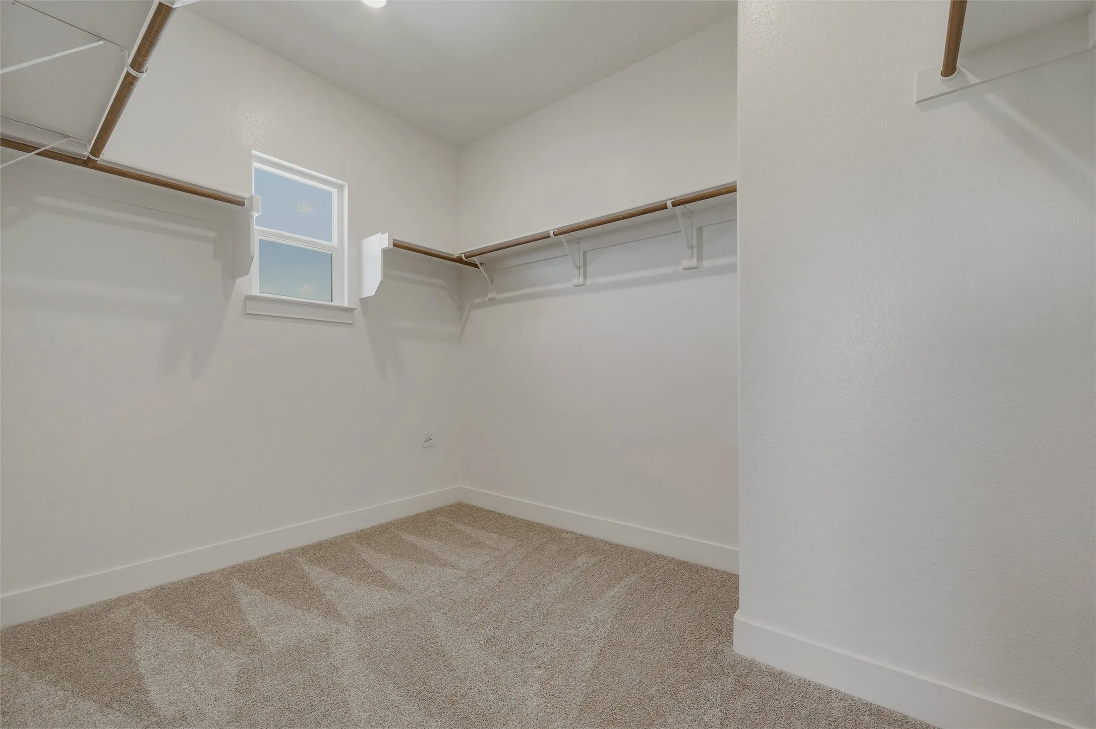 Walk-in closet featuring carpet flooring, a window, and shelving with hanging rods