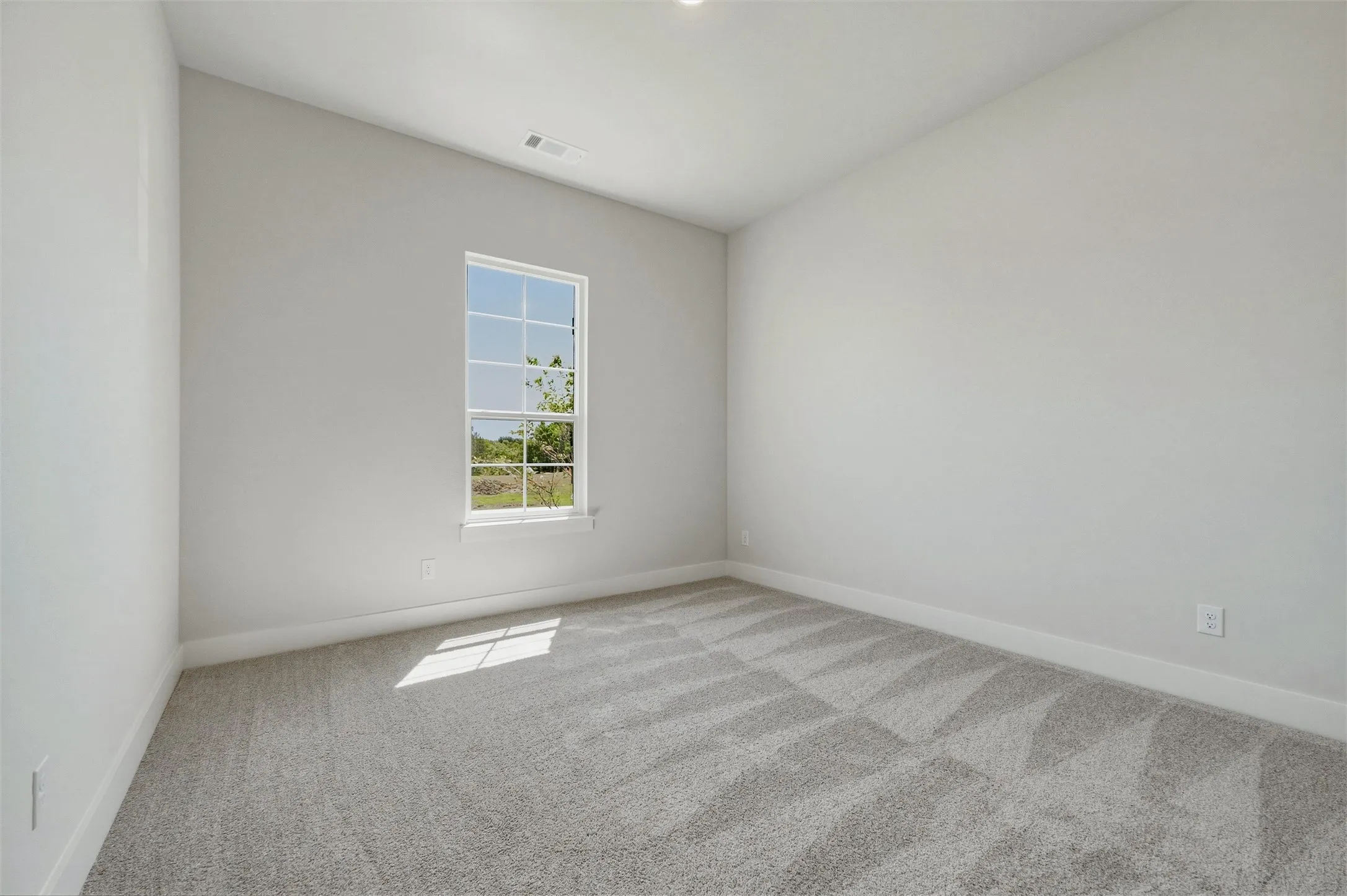 Wall-to-wall carpeting in a neutral tone, white window trim, and light-colored walls