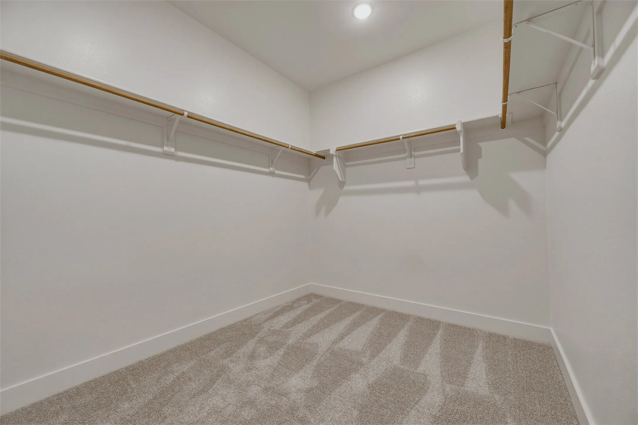 Walk-in closet with built-in shelving, hanging rods, recessed lighting, and carpeted flooring