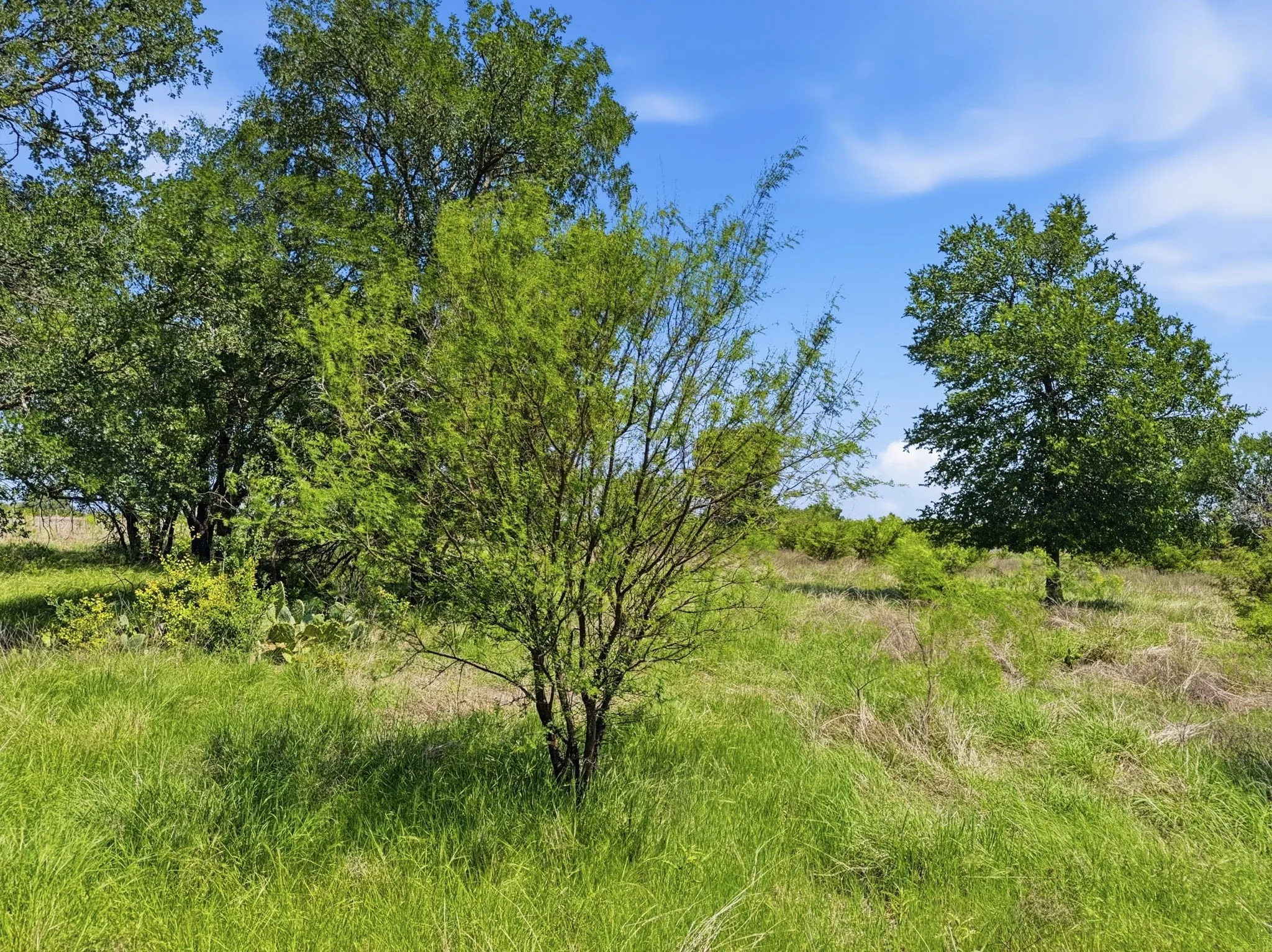 Unimproved Land For Sale in Hamilton County , Lot 13 Ph 1 Pr 4219, Evant, Texas 76525, 0, 0, Garage spaces, 0 Sqft, built in 0, Price $121,000, mls#21259121, Real Estate Agent in Evant, Homes For Sale in Hamilton county, Homes For Sale in Evant, Realtor in Evant Texas, Real Estate Brokerage Independent Realty Texas, Luminita Cordes Realtor