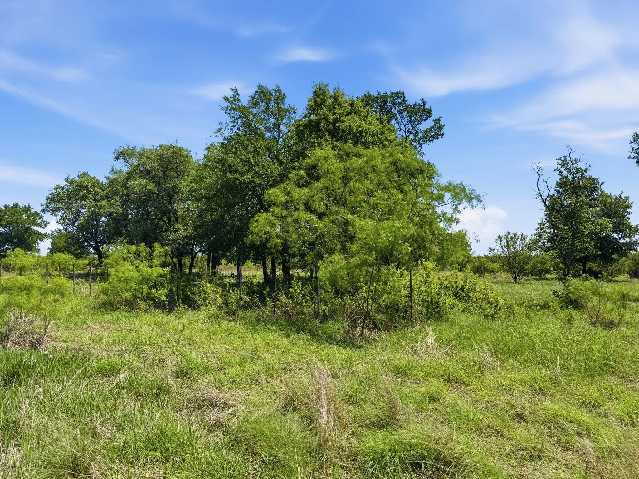Unimproved Land For Sale in Hamilton County , Lot 13 Ph 1 Pr 4219, Evant, Texas 76525, 0, 0, Garage spaces, 0 Sqft, built in 0, Price $121,000, mls#21259121, Real Estate Agent in Evant, Homes For Sale in Hamilton county, Homes For Sale in Evant, Realtor in Evant Texas, Real Estate Brokerage Independent Realty Texas, Luminita Cordes Realtor