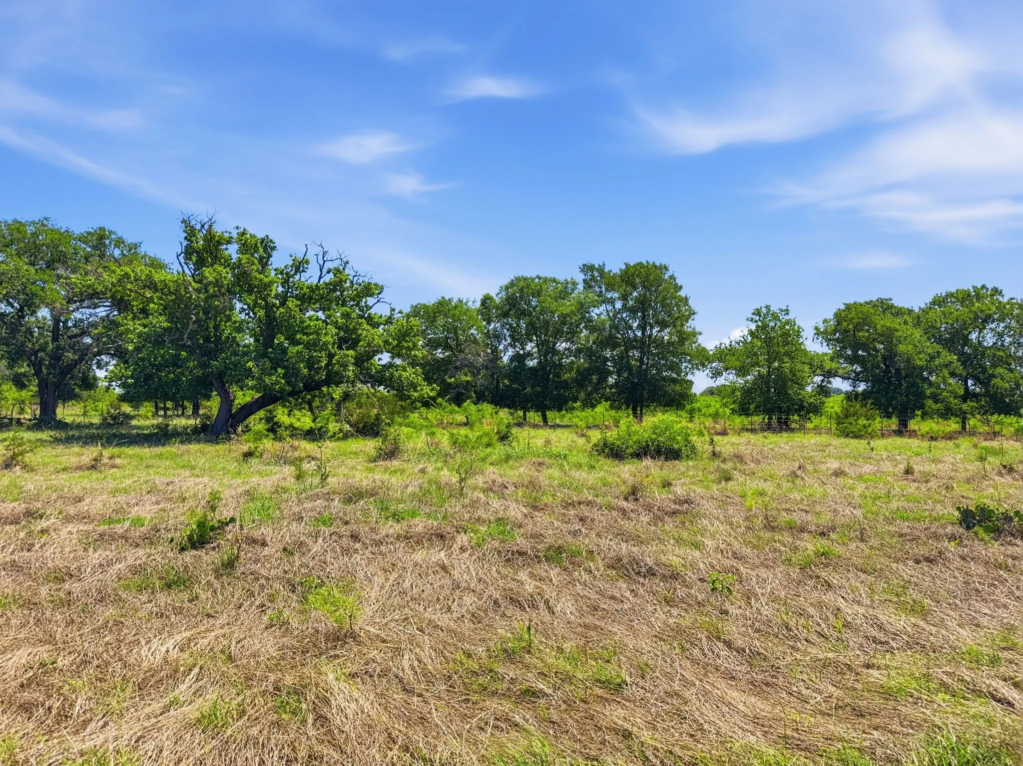 Unimproved Land For Sale in Hamilton County , Lot 13 Ph 1 Pr 4219, Evant, Texas 76525, 0, 0, Garage spaces, 0 Sqft, built in 0, Price $121,000, mls#21259121, Real Estate Agent in Evant, Homes For Sale in Hamilton county, Homes For Sale in Evant, Realtor in Evant Texas, Real Estate Brokerage Independent Realty Texas, Luminita Cordes Realtor