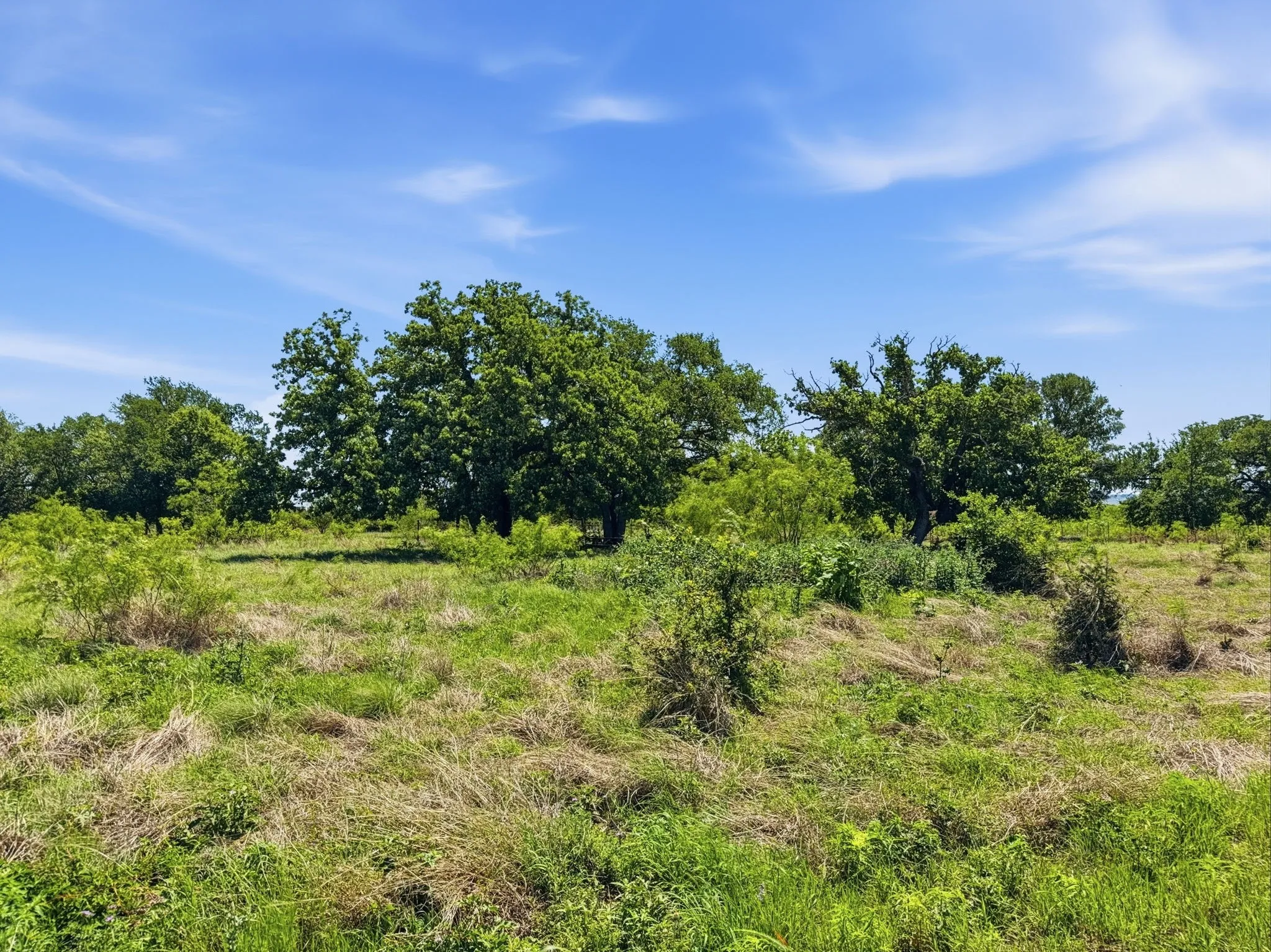 Unimproved Land For Sale in Hamilton County , Lot 13 Ph 1 Pr 4219, Evant, Texas 76525, 0, 0, Garage spaces, 0 Sqft, built in 0, Price $121,000, mls#21259121, Real Estate Agent in Evant, Homes For Sale in Hamilton county, Homes For Sale in Evant, Realtor in Evant Texas, Real Estate Brokerage Independent Realty Texas, Luminita Cordes Realtor