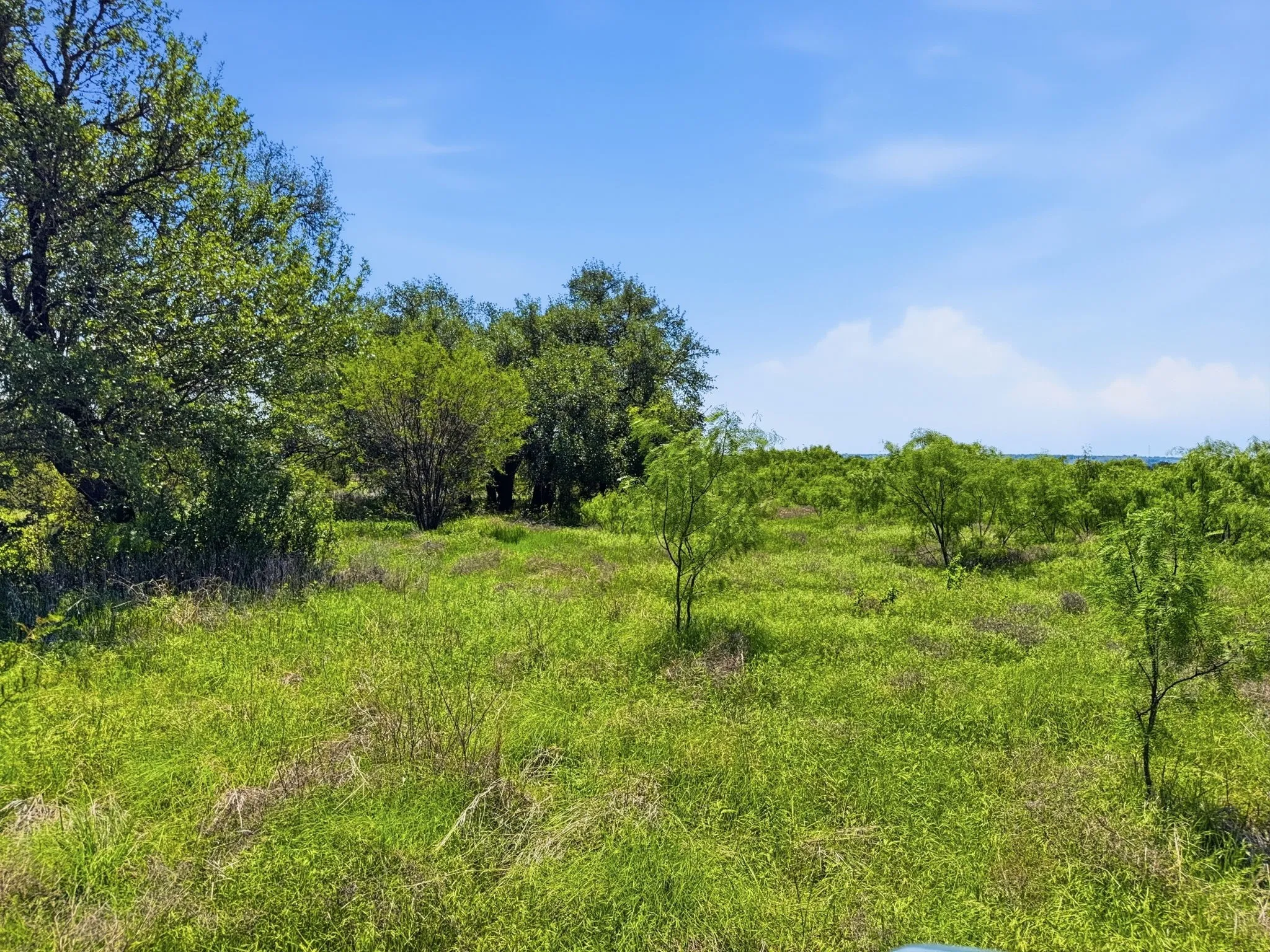 Unimproved Land For Sale in Hamilton County , Lot 13 Ph 1 Pr 4219, Evant, Texas 76525, 0, 0, Garage spaces, 0 Sqft, built in 0, Price $121,000, mls#21259121, Real Estate Agent in Evant, Homes For Sale in Hamilton county, Homes For Sale in Evant, Realtor in Evant Texas, Real Estate Brokerage Independent Realty Texas, Luminita Cordes Realtor