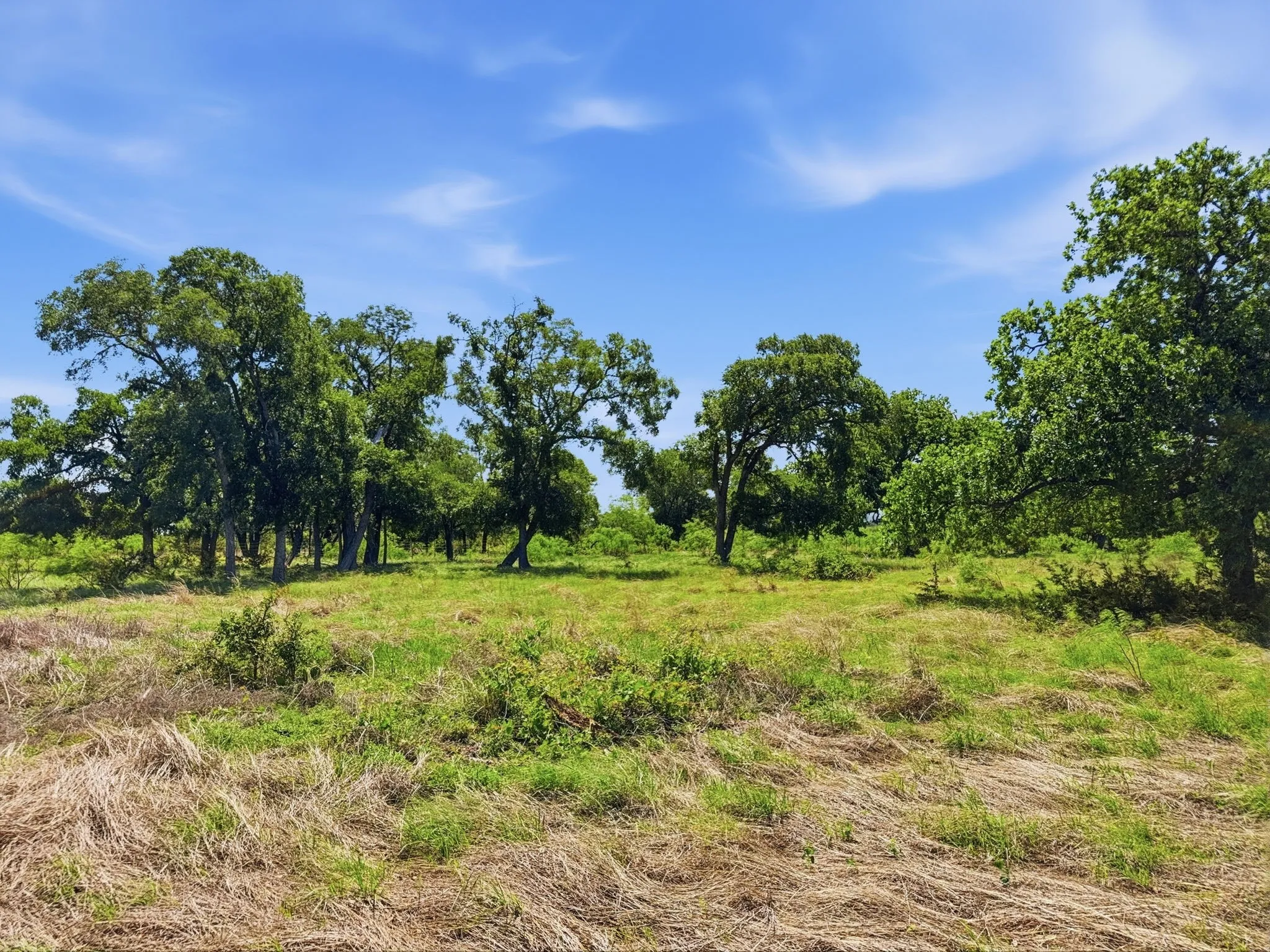 Unimproved Land For Sale in Hamilton County , Lot 13 Ph 1 Pr 4219, Evant, Texas 76525, 0, 0, Garage spaces, 0 Sqft, built in 0, Price $121,000, mls#21259121, Real Estate Agent in Evant, Homes For Sale in Hamilton county, Homes For Sale in Evant, Realtor in Evant Texas, Real Estate Brokerage Independent Realty Texas, Luminita Cordes Realtor