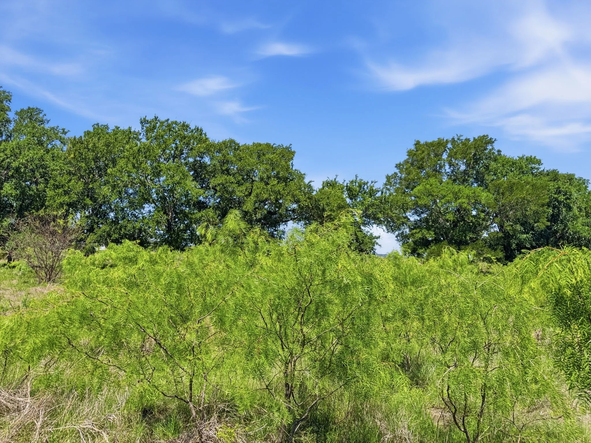 Unimproved Land For Sale in Hamilton County , Lot 13 Ph 1 Pr 4219, Evant, Texas 76525, 0, 0, Garage spaces, 0 Sqft, built in 0, Price $121,000, mls#21259121, Real Estate Agent in Evant, Homes For Sale in Hamilton county, Homes For Sale in Evant, Realtor in Evant Texas, Real Estate Brokerage Independent Realty Texas, Luminita Cordes Realtor