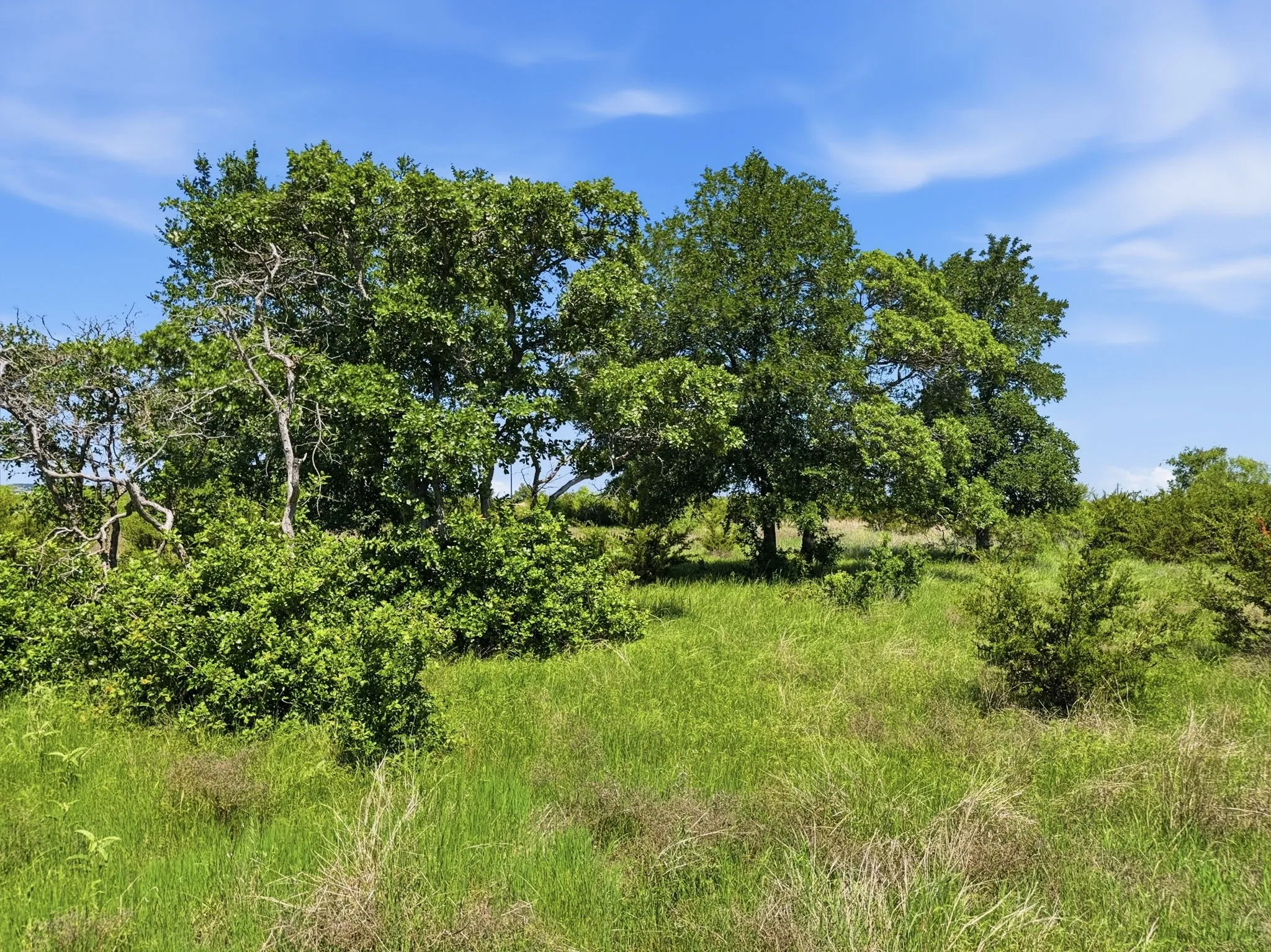 Unimproved Land For Sale in Hamilton County , Lot 13 Ph 1 Pr 4219, Evant, Texas 76525, 0, 0, Garage spaces, 0 Sqft, built in 0, Price $121,000, mls#21259121, Real Estate Agent in Evant, Homes For Sale in Hamilton county, Homes For Sale in Evant, Realtor in Evant Texas, Real Estate Brokerage Independent Realty Texas, Luminita Cordes Realtor