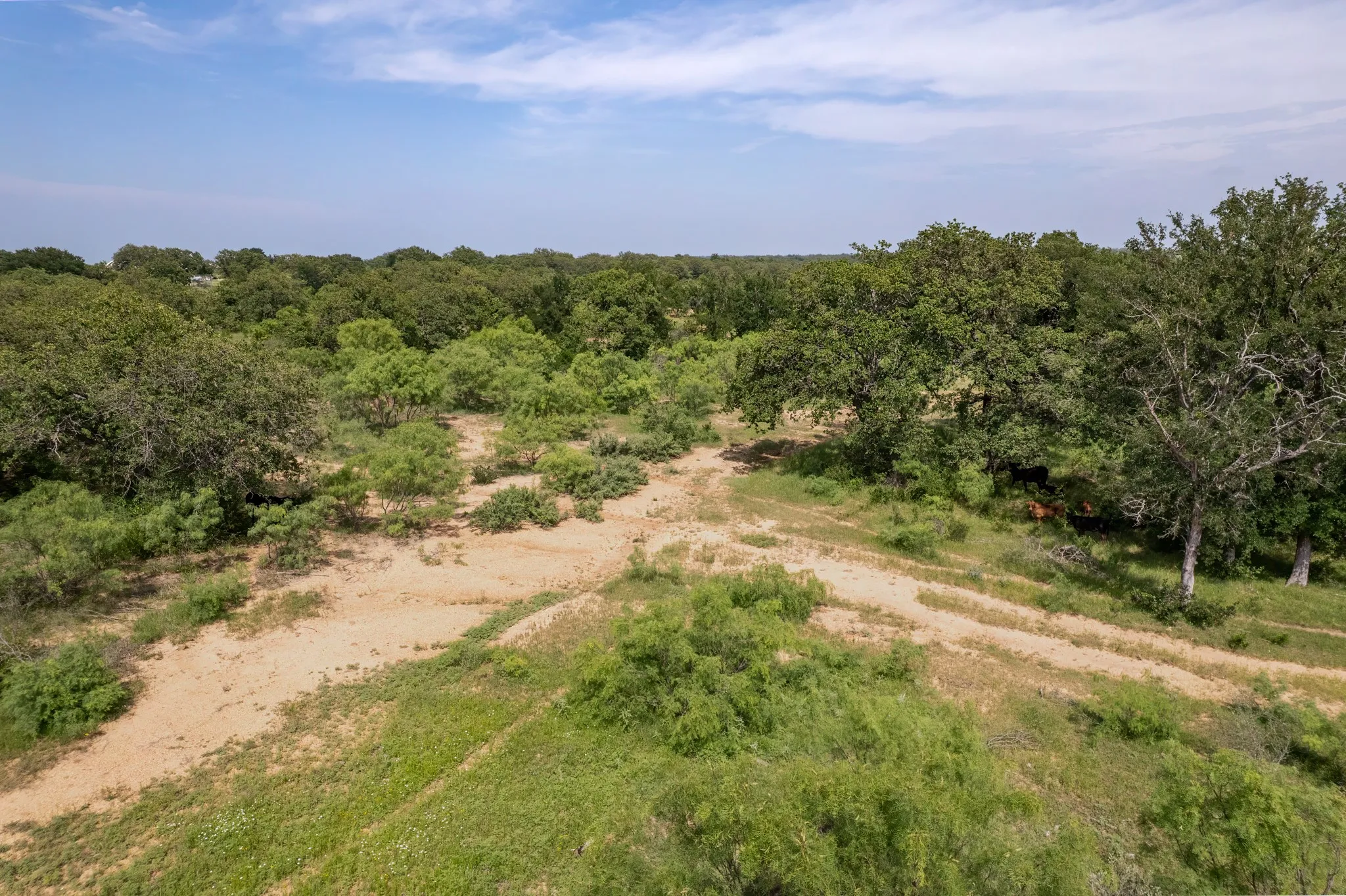 Improved Land For Sale in Brown County , 4451 FM585, Bangs, Texas 76823, 0, 0, Garage spaces, 0 Sqft, built in 0, mls#21257589, Real Estate Agent in Bangs, Homes For Sale in Brown county, Homes For Sale in Bangs, Realtor in Bangs Texas, Real Estate Brokerage Independent Realty Texas, Luminita Cordes Realtor