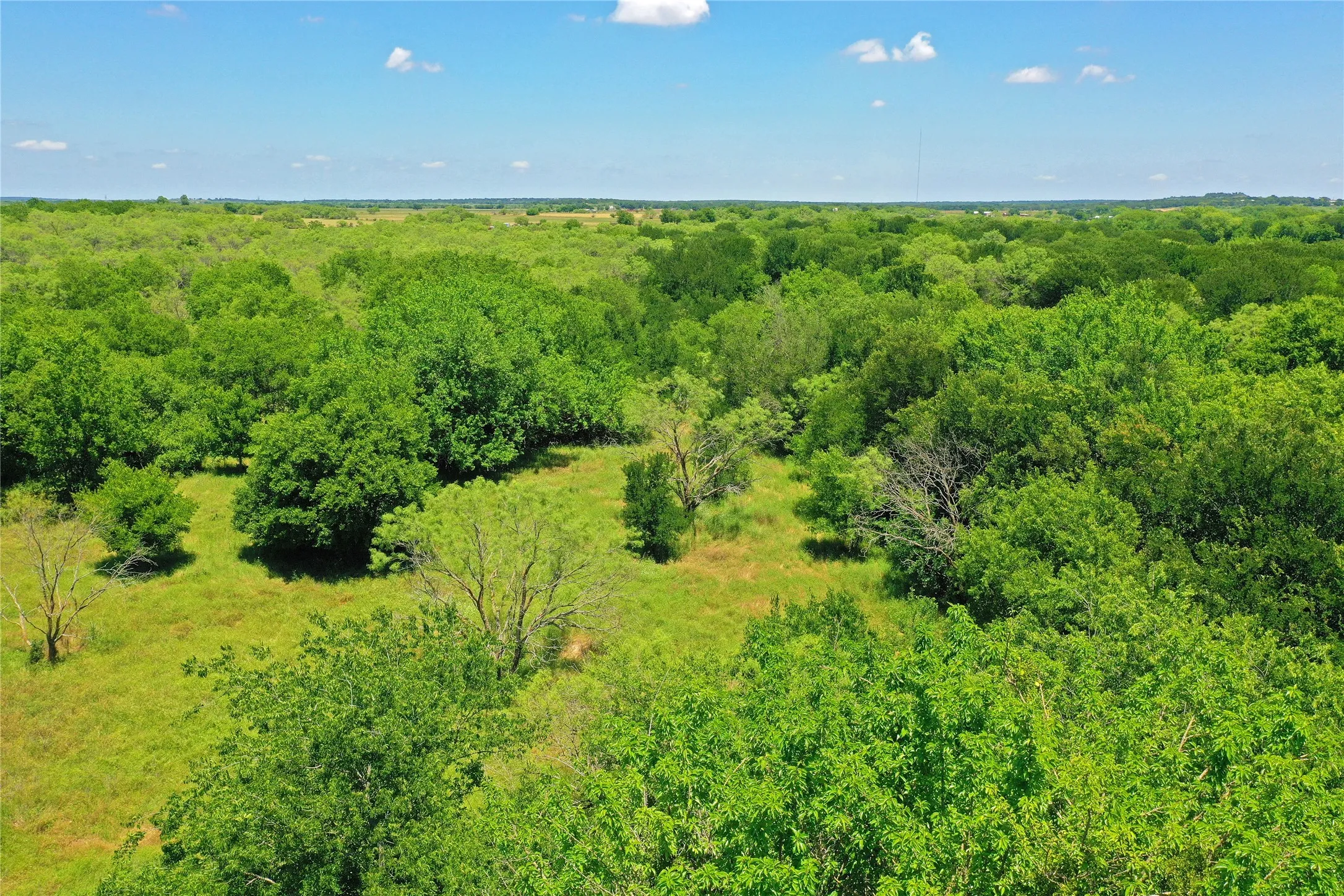 Ranch For Sale in Jack County , 36 Acres FM 2210, Perrin, Texas 76486, 0, 0, Garage spaces, 0 Sqft, built in 0, Price $475,000, mls#21259151, Real Estate Agent in Perrin, Homes For Sale in Jack county, Homes For Sale in Perrin, Realtor in Perrin Texas, Real Estate Brokerage Independent Realty Texas, Luminita Cordes Realtor