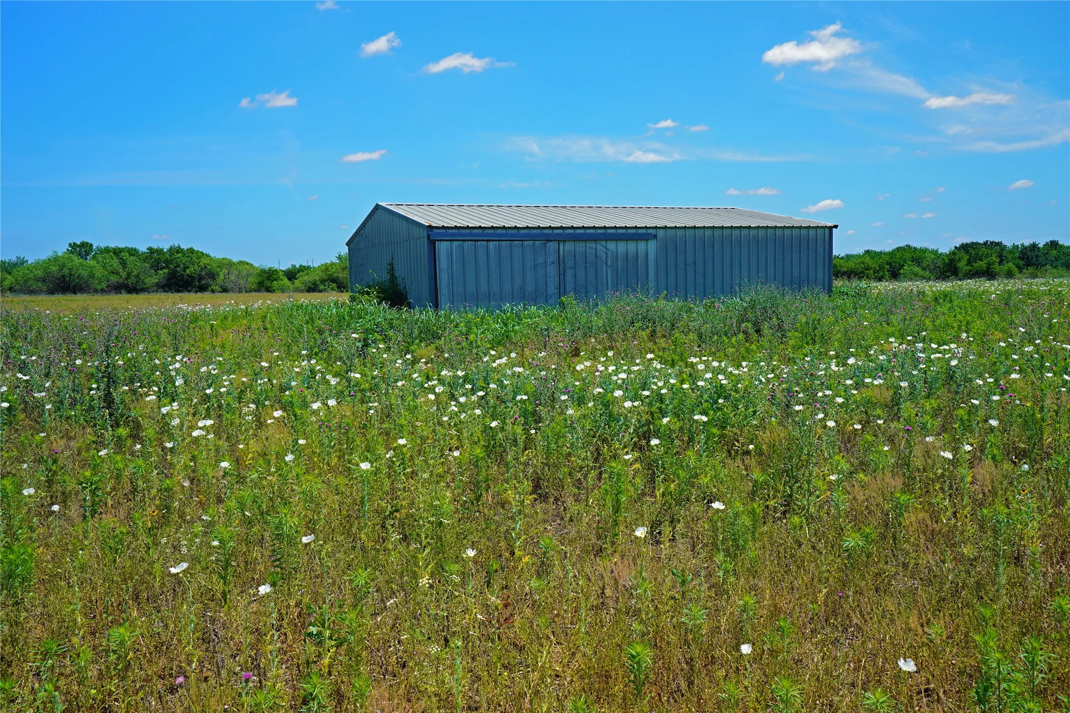 Ranch For Sale in Jack County , 36 Acres FM 2210, Perrin, Texas 76486, 0, 0, Garage spaces, 0 Sqft, built in 0, Price $475,000, mls#21259151, Real Estate Agent in Perrin, Homes For Sale in Jack county, Homes For Sale in Perrin, Realtor in Perrin Texas, Real Estate Brokerage Independent Realty Texas, Luminita Cordes Realtor