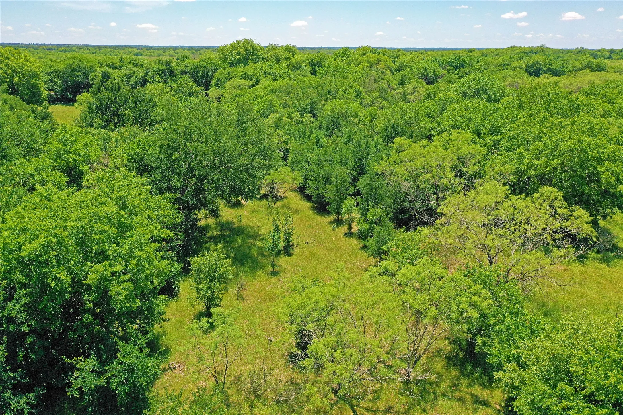 Ranch For Sale in Jack County , 36 Acres FM 2210, Perrin, Texas 76486, 0, 0, Garage spaces, 0 Sqft, built in 0, Price $475,000, mls#21259151, Real Estate Agent in Perrin, Homes For Sale in Jack county, Homes For Sale in Perrin, Realtor in Perrin Texas, Real Estate Brokerage Independent Realty Texas, Luminita Cordes Realtor