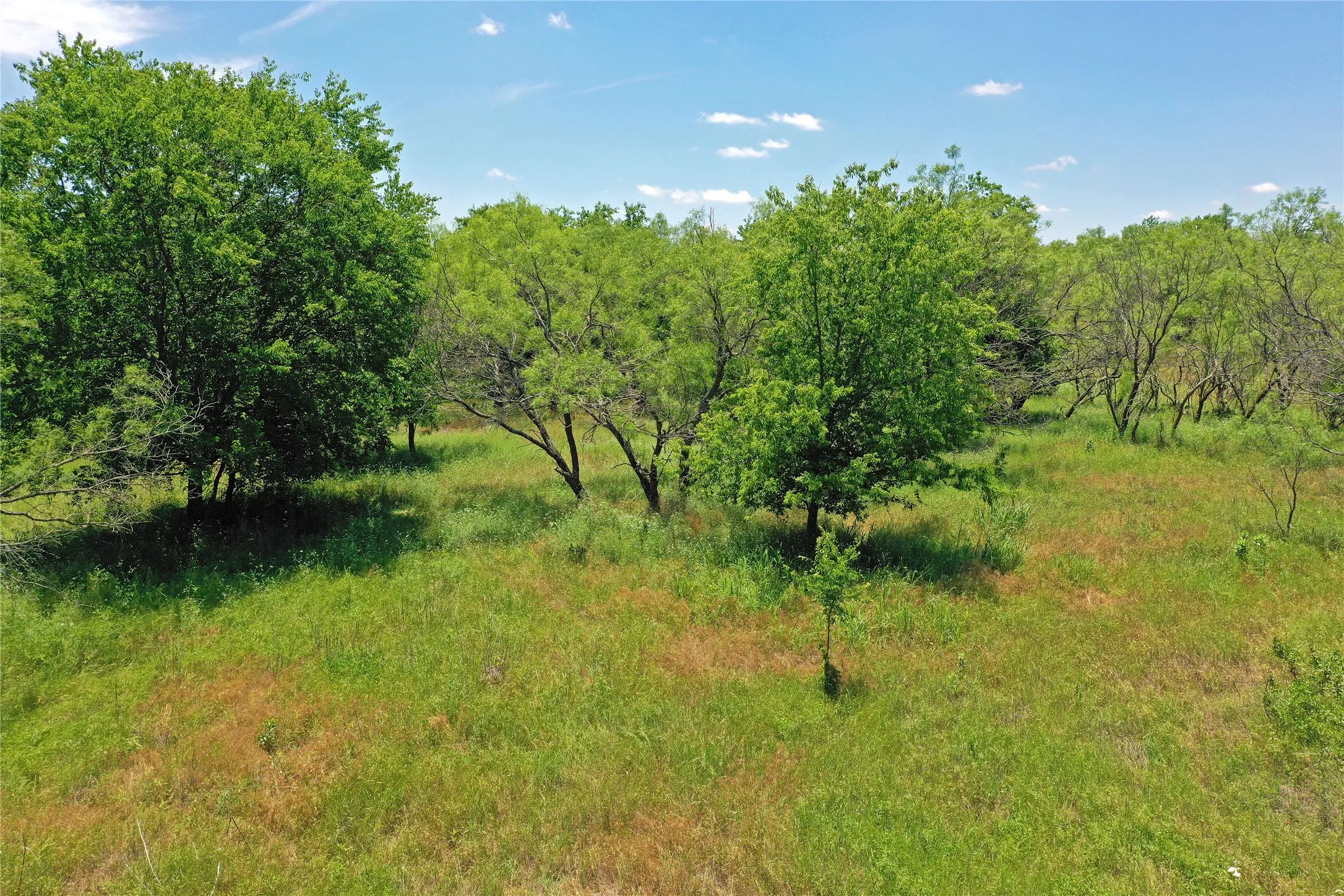 Ranch For Sale in Jack County , 36 Acres FM 2210, Perrin, Texas 76486, 0, 0, Garage spaces, 0 Sqft, built in 0, Price $475,000, mls#21259151, Real Estate Agent in Perrin, Homes For Sale in Jack county, Homes For Sale in Perrin, Realtor in Perrin Texas, Real Estate Brokerage Independent Realty Texas, Luminita Cordes Realtor