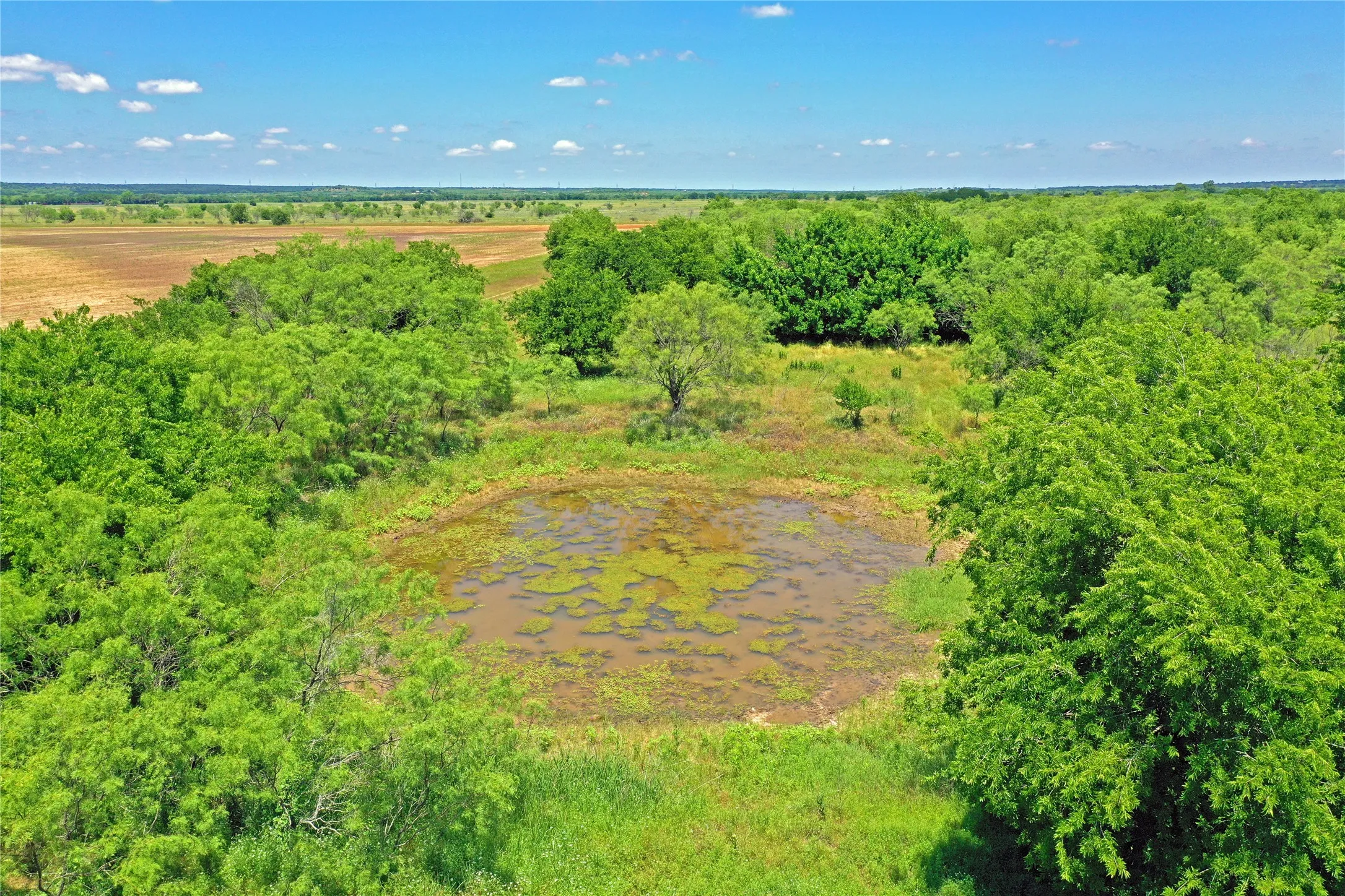 Ranch For Sale in Jack County , 36 Acres FM 2210, Perrin, Texas 76486, 0, 0, Garage spaces, 0 Sqft, built in 0, Price $475,000, mls#21259151, Real Estate Agent in Perrin, Homes For Sale in Jack county, Homes For Sale in Perrin, Realtor in Perrin Texas, Real Estate Brokerage Independent Realty Texas, Luminita Cordes Realtor