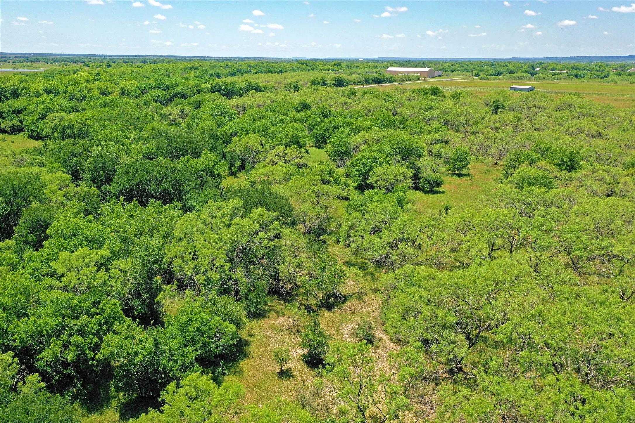 Ranch For Sale in Jack County , 36 Acres FM 2210, Perrin, Texas 76486, 0, 0, Garage spaces, 0 Sqft, built in 0, Price $475,000, mls#21259151, Real Estate Agent in Perrin, Homes For Sale in Jack county, Homes For Sale in Perrin, Realtor in Perrin Texas, Real Estate Brokerage Independent Realty Texas, Luminita Cordes Realtor