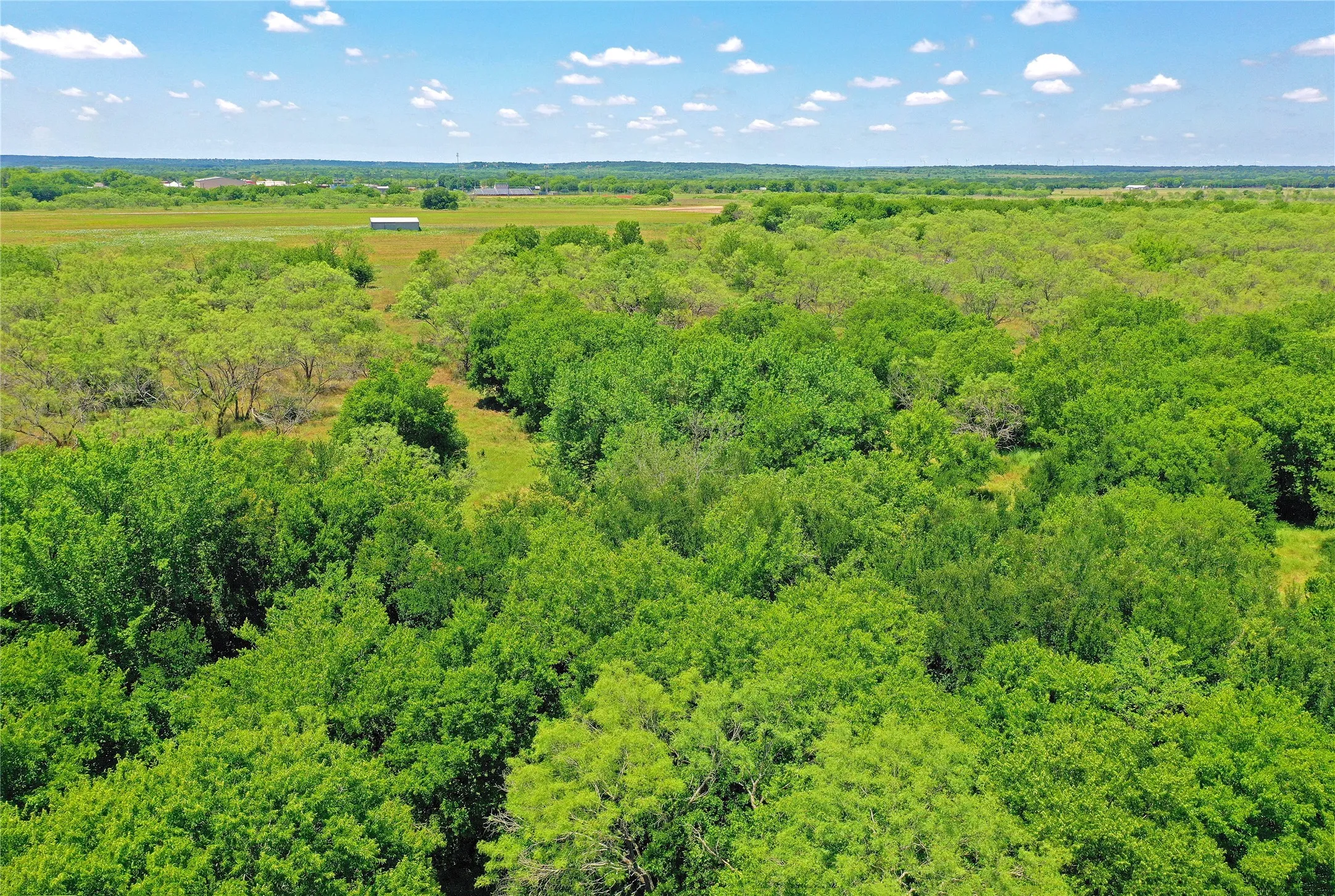 Ranch For Sale in Jack County , 36 Acres FM 2210, Perrin, Texas 76486, 0, 0, Garage spaces, 0 Sqft, built in 0, Price $475,000, mls#21259151, Real Estate Agent in Perrin, Homes For Sale in Jack county, Homes For Sale in Perrin, Realtor in Perrin Texas, Real Estate Brokerage Independent Realty Texas, Luminita Cordes Realtor