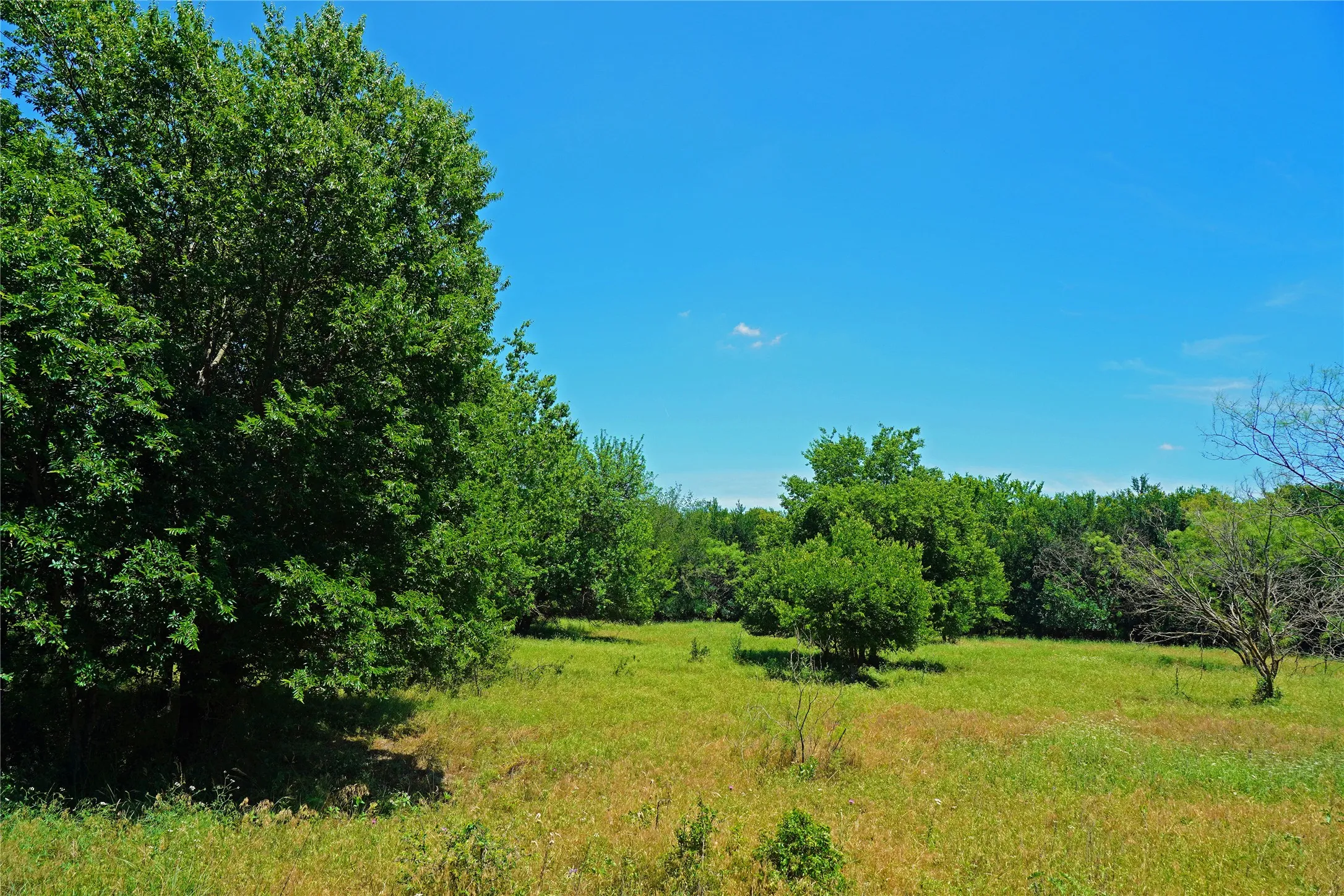 Ranch For Sale in Jack County , 36 Acres FM 2210, Perrin, Texas 76486, 0, 0, Garage spaces, 0 Sqft, built in 0, Price $475,000, mls#21259151, Real Estate Agent in Perrin, Homes For Sale in Jack county, Homes For Sale in Perrin, Realtor in Perrin Texas, Real Estate Brokerage Independent Realty Texas, Luminita Cordes Realtor