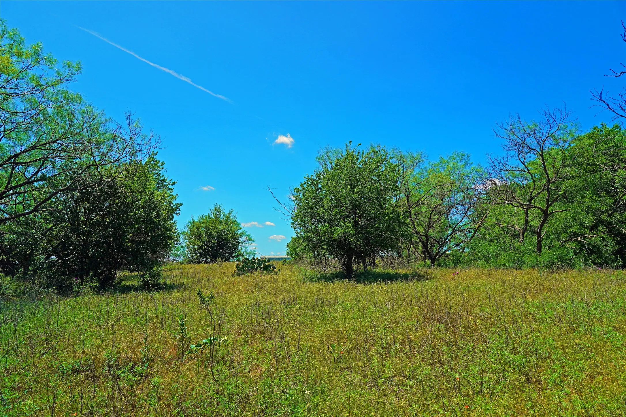Ranch For Sale in Jack County , 36 Acres FM 2210, Perrin, Texas 76486, 0, 0, Garage spaces, 0 Sqft, built in 0, Price $475,000, mls#21259151, Real Estate Agent in Perrin, Homes For Sale in Jack county, Homes For Sale in Perrin, Realtor in Perrin Texas, Real Estate Brokerage Independent Realty Texas, Luminita Cordes Realtor