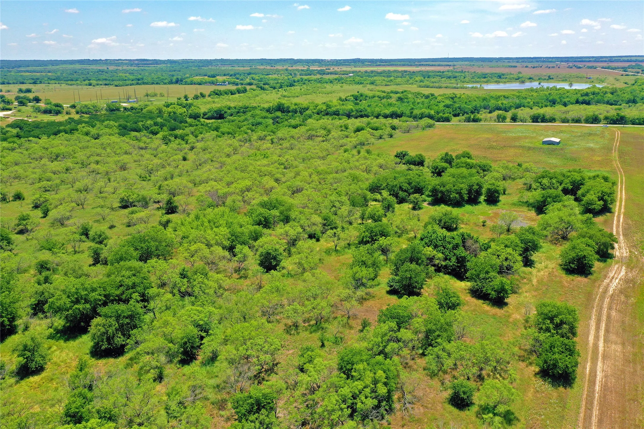Ranch For Sale in Jack County , 36 Acres FM 2210, Perrin, Texas 76486, 0, 0, Garage spaces, 0 Sqft, built in 0, Price $475,000, mls#21259151, Real Estate Agent in Perrin, Homes For Sale in Jack county, Homes For Sale in Perrin, Realtor in Perrin Texas, Real Estate Brokerage Independent Realty Texas, Luminita Cordes Realtor