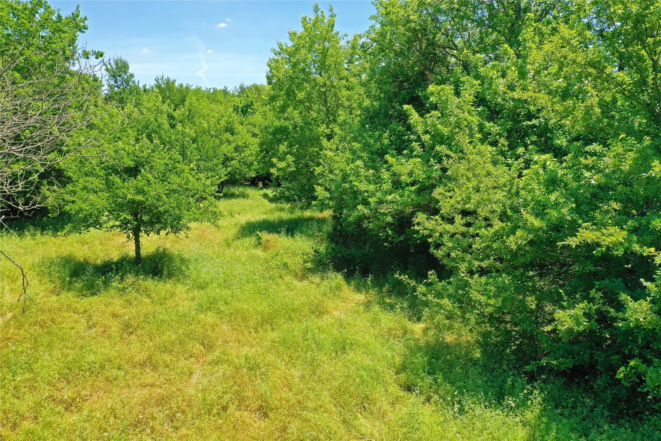 Ranch For Sale in Jack County , 36 Acres FM 2210, Perrin, Texas 76486, 0, 0, Garage spaces, 0 Sqft, built in 0, Price $475,000, mls#21259151, Real Estate Agent in Perrin, Homes For Sale in Jack county, Homes For Sale in Perrin, Realtor in Perrin Texas, Real Estate Brokerage Independent Realty Texas, Luminita Cordes Realtor