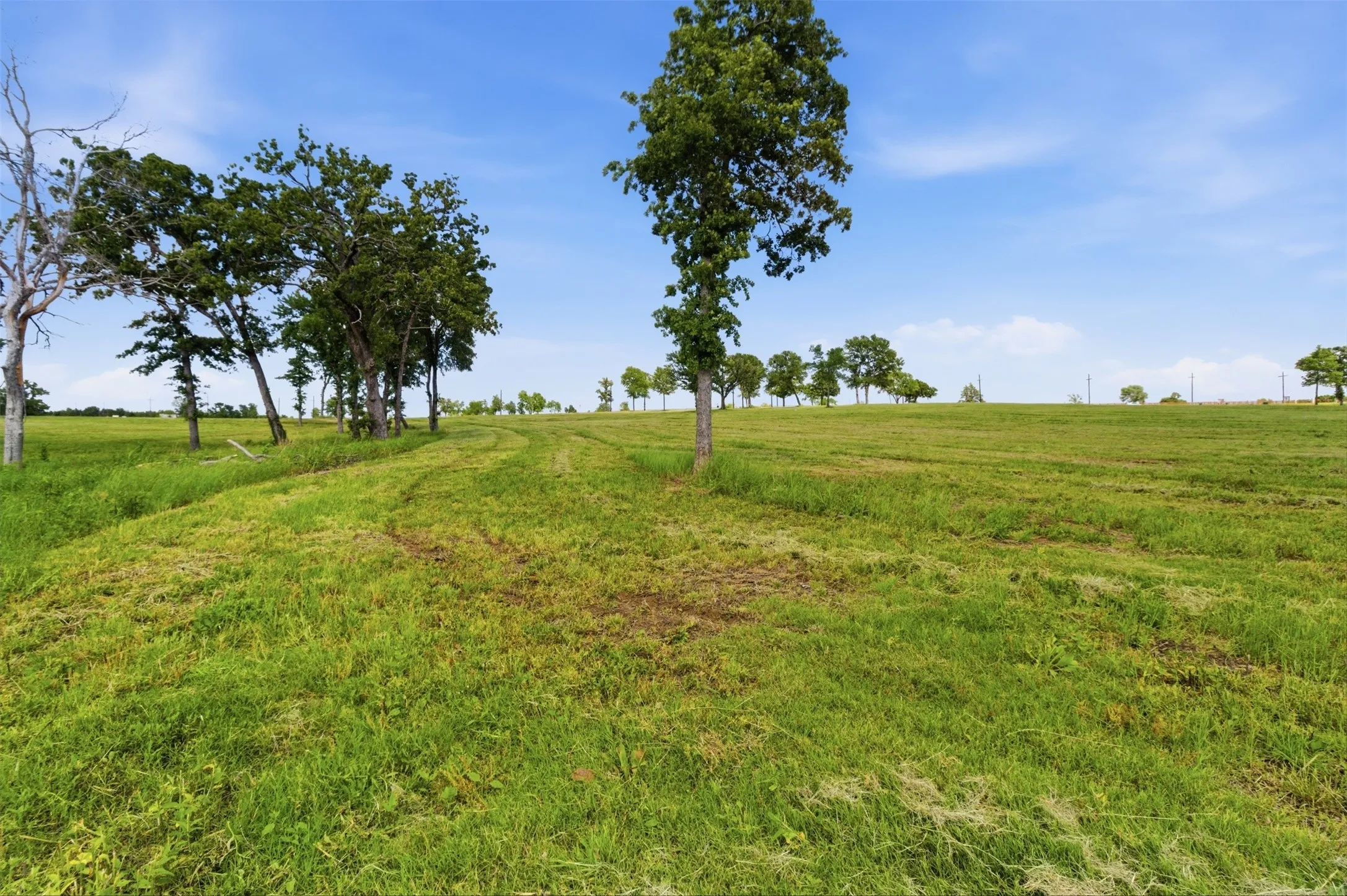 Unimproved Land For Sale in Fannin County , 215 Lakeshore Terrace, Windom, Texas 75492, 0, 0, Garage spaces, 0 Sqft, built in 0, Price $375,000, mls#21258931, Real Estate Agent in Windom, Homes For Sale in Fannin county, Homes For Sale in Windom, Realtor in Windom Texas, Real Estate Brokerage Independent Realty Texas, Luminita Cordes Realtor