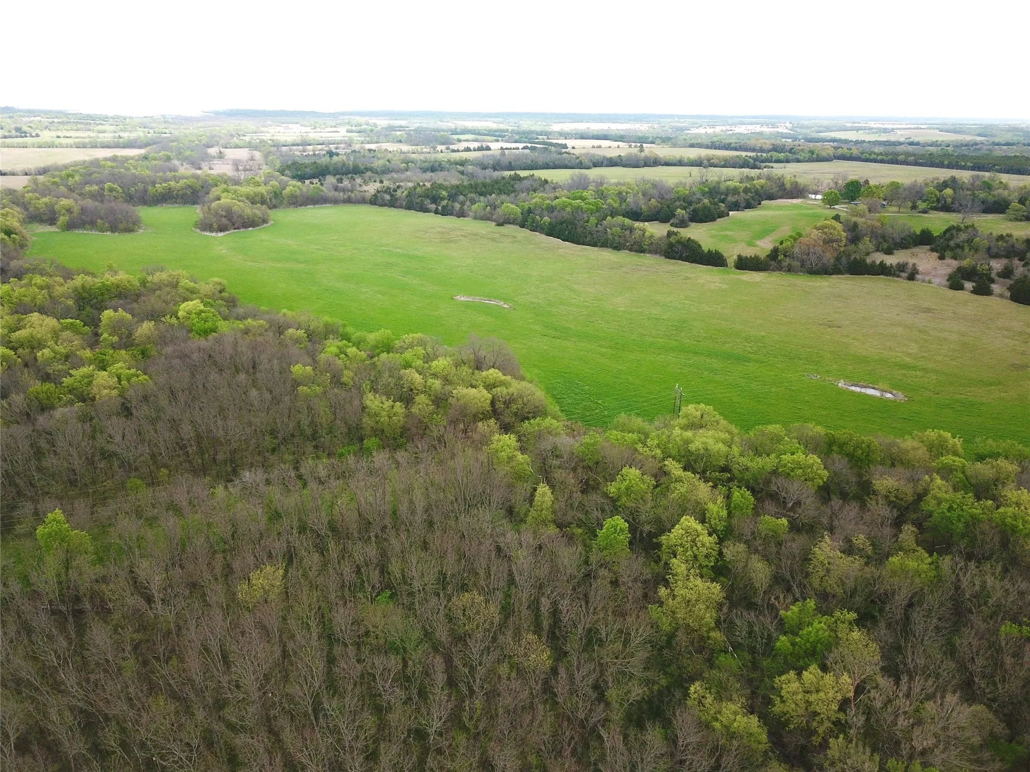 Unimproved Land For Sale in Fannin County , 3211 End, Dodd City, Texas 75438, 0, 0, Garage spaces, 0 Sqft, built in 2010, Price $2,445,200, mls#21259227, Real Estate Agent in Dodd City, Homes For Sale in Fannin county, Homes For Sale in Dodd City, Realtor in Dodd City Texas, Real Estate Brokerage Independent Realty Texas, Luminita Cordes Realtor