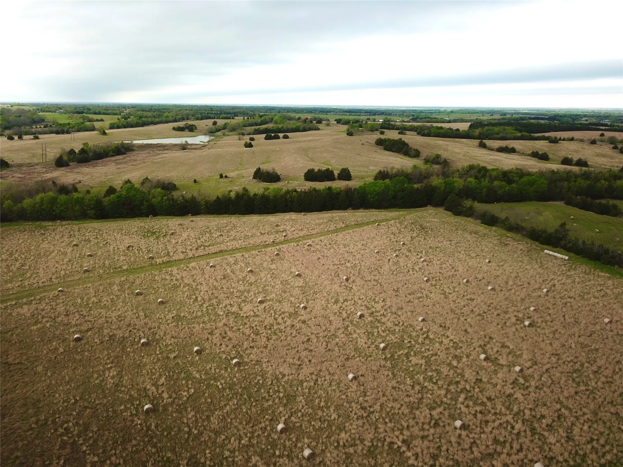 Unimproved Land For Sale in Fannin County , 3211 End, Dodd City, Texas 75438, 0, 0, Garage spaces, 0 Sqft, built in 2010, Price $2,445,200, mls#21259227, Real Estate Agent in Dodd City, Homes For Sale in Fannin county, Homes For Sale in Dodd City, Realtor in Dodd City Texas, Real Estate Brokerage Independent Realty Texas, Luminita Cordes Realtor