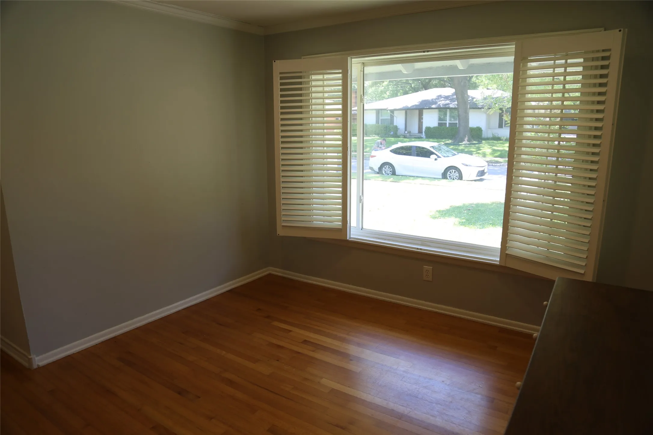 Wood-finish flooring with a wide window featuring interior plantation shutters, painted walls, white baseboards, and crown molding