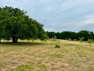Unimproved Land For Sale in Johnson County , 3635 County Road 424, Cleburne, Texas 76031, 0, 0, Garage spaces, 0 Sqft, built in 0, mls#21259255, Real Estate Agent in Cleburne, Homes For Sale in Johnson county, Homes For Sale in Cleburne, Realtor in Cleburne Texas, Real Estate Brokerage Independent Realty Texas, Luminita Cordes Realtor