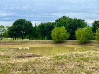 Unimproved Land For Sale in Johnson County , 3635 County Road 424, Cleburne, Texas 76031, 0, 0, Garage spaces, 0 Sqft, built in 0, mls#21259255, Real Estate Agent in Cleburne, Homes For Sale in Johnson county, Homes For Sale in Cleburne, Realtor in Cleburne Texas, Real Estate Brokerage Independent Realty Texas, Luminita Cordes Realtor