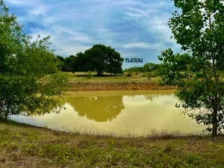 Unimproved Land For Sale in Johnson County , 3635 County Road 424, Cleburne, Texas 76031, 0, 0, Garage spaces, 0 Sqft, built in 0, mls#21259255, Real Estate Agent in Cleburne, Homes For Sale in Johnson county, Homes For Sale in Cleburne, Realtor in Cleburne Texas, Real Estate Brokerage Independent Realty Texas, Luminita Cordes Realtor