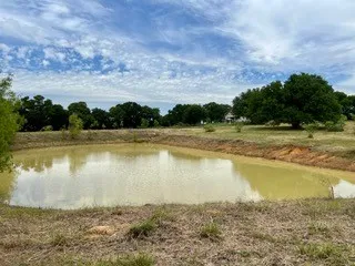 Unimproved Land For Sale in Johnson County , 3635 County Road 424, Cleburne, Texas 76031, 0, 0, Garage spaces, 0 Sqft, built in 0, mls#21259255, Real Estate Agent in Cleburne, Homes For Sale in Johnson county, Homes For Sale in Cleburne, Realtor in Cleburne Texas, Real Estate Brokerage Independent Realty Texas, Luminita Cordes Realtor