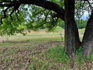 Unimproved Land For Sale in Johnson County , 3635 County Road 424, Cleburne, Texas 76031, 0, 0, Garage spaces, 0 Sqft, built in 0, mls#21259255, Real Estate Agent in Cleburne, Homes For Sale in Johnson county, Homes For Sale in Cleburne, Realtor in Cleburne Texas, Real Estate Brokerage Independent Realty Texas, Luminita Cordes Realtor
