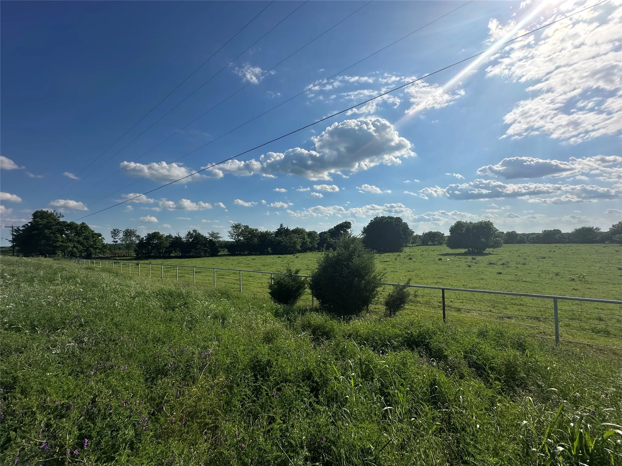 Expansive green landscape featuring varied foliage and a clear sky with scattered clouds