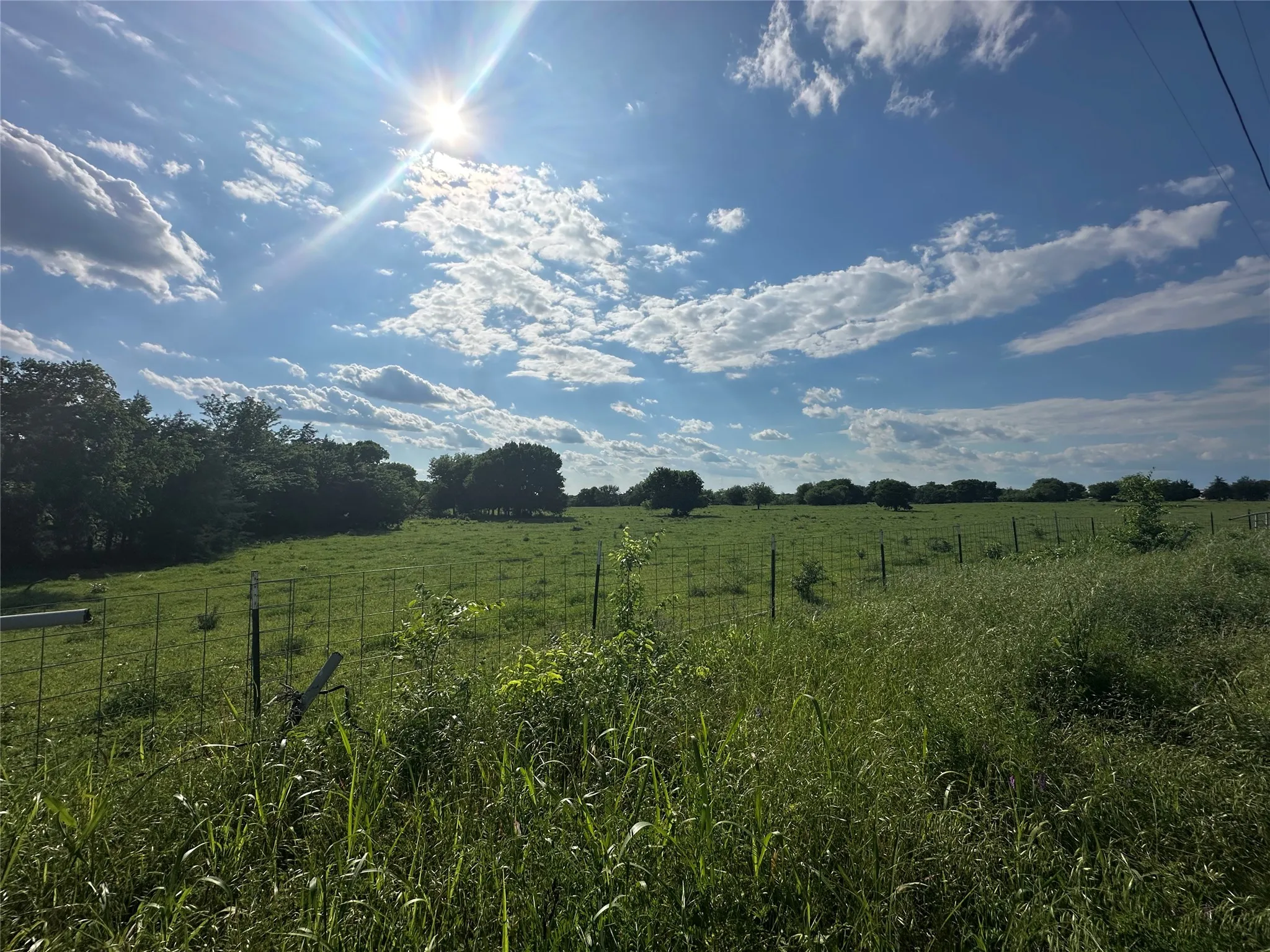 Expansive open land featuring green pastures, mature trees along the horizon, and perimeter fencing