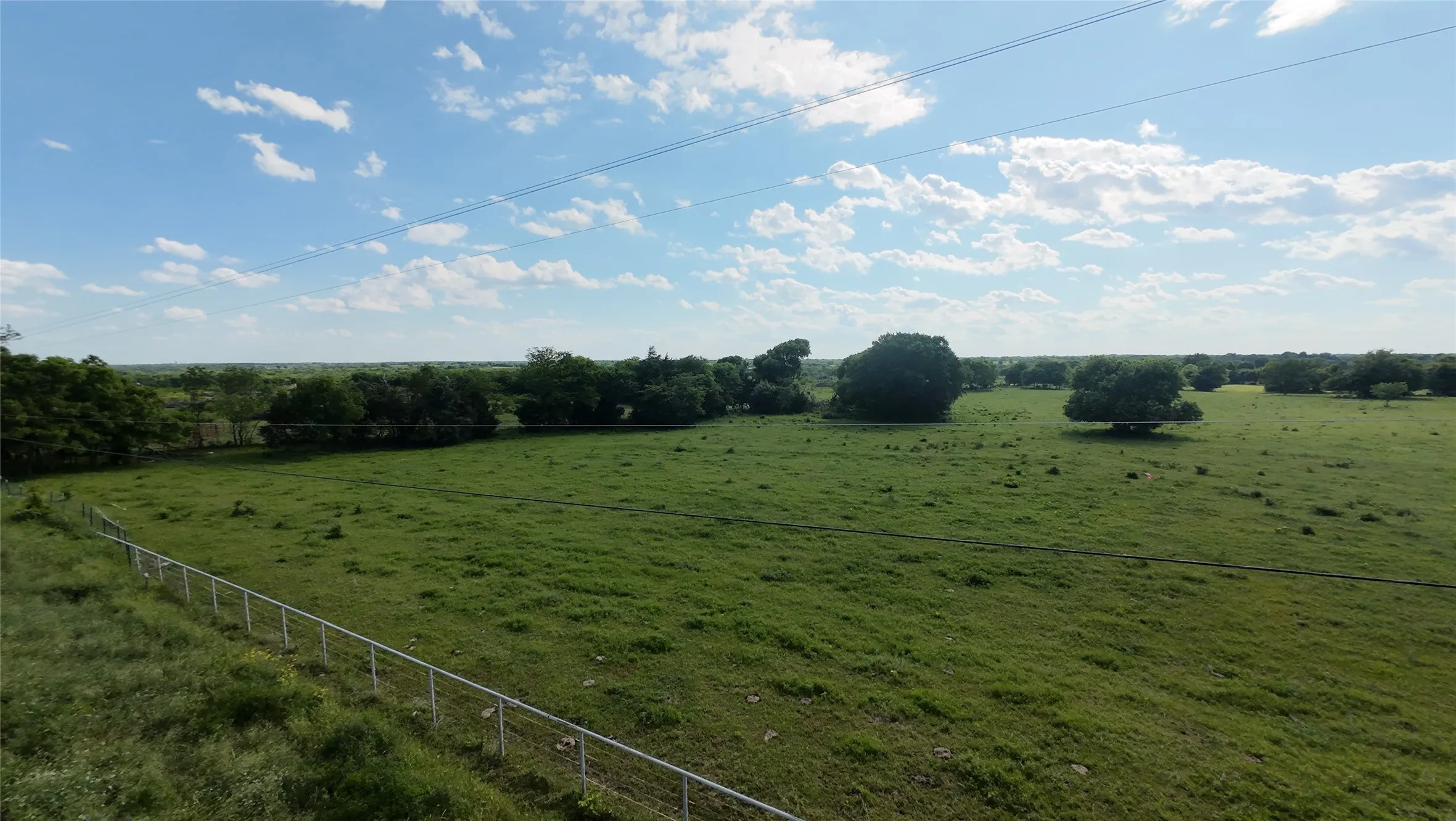 Expansive green field with scattered mature trees and a distant tree line