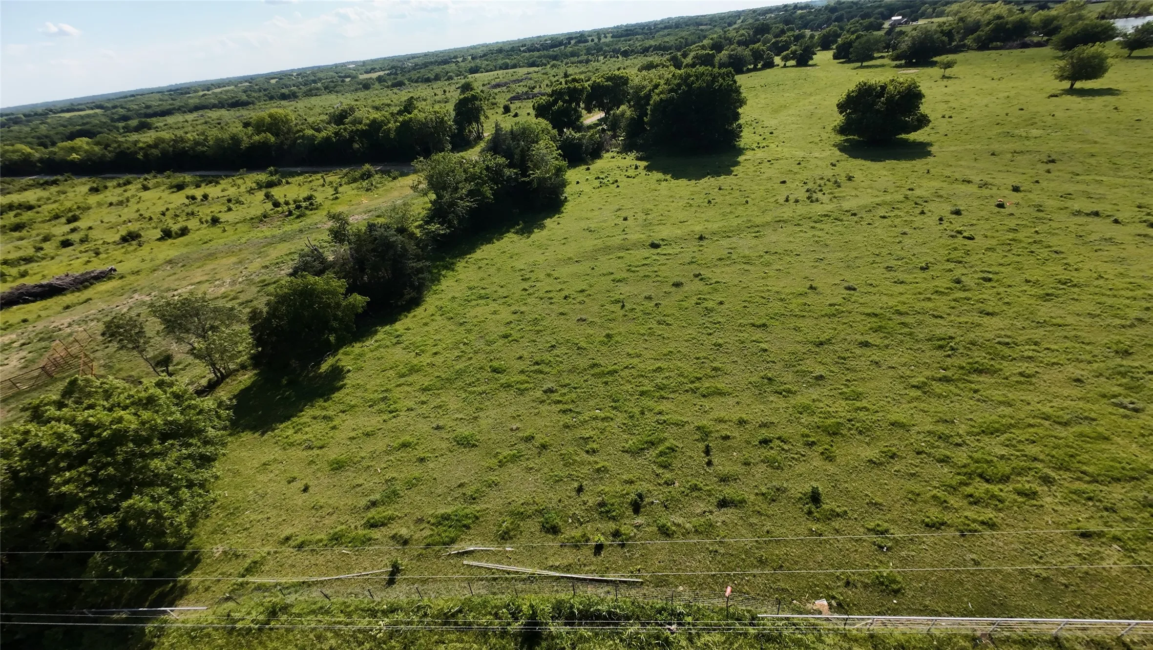 Expansive acreage featuring rolling green terrain, scattered trees, and a tree line along the perimeter