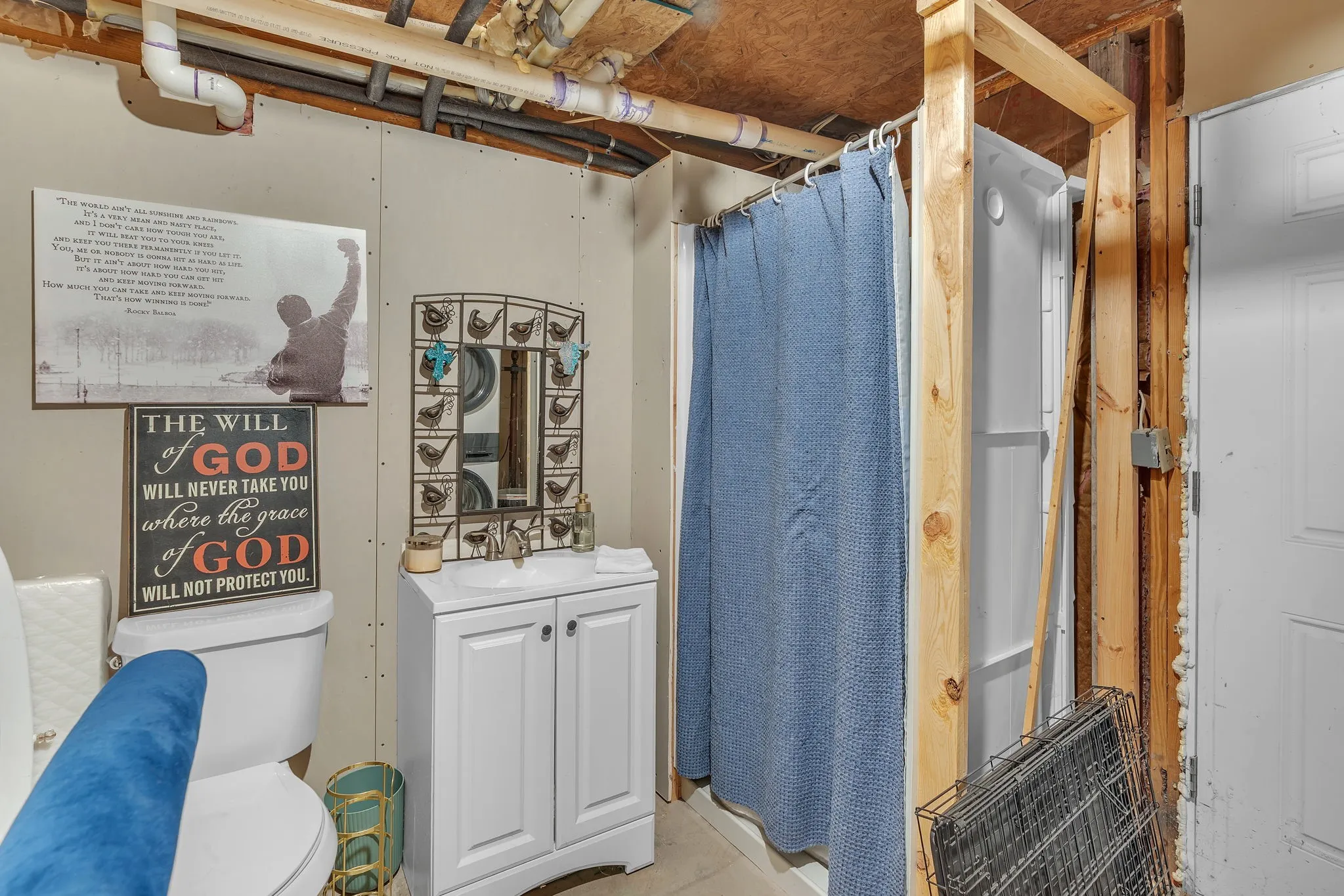 Lower-level utility space/ bathroom with additional storage and flexible use. Great for hobbies or organization.