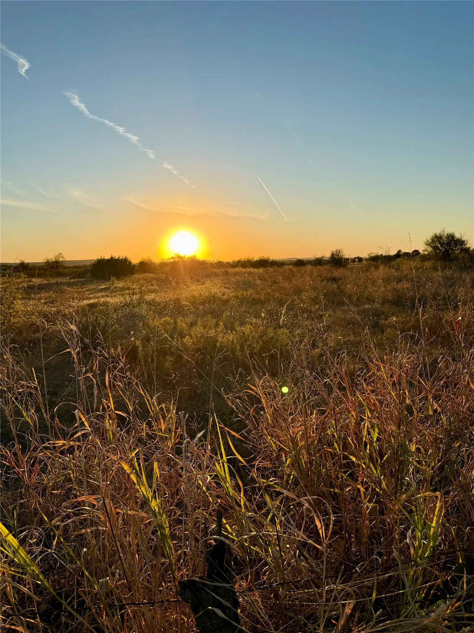 Unimproved Land For Sale in Taylor County , TBD E State Highway 36, Abilene, Texas 79602, 0, 0, Garage spaces, 0 Sqft, built in 0, Price $54,500, mls#21259476, Real Estate Agent in Abilene, Homes For Sale in Taylor county, Homes For Sale in Abilene, Realtor in Abilene Texas, Real Estate Brokerage Independent Realty Texas, Luminita Cordes Realtor