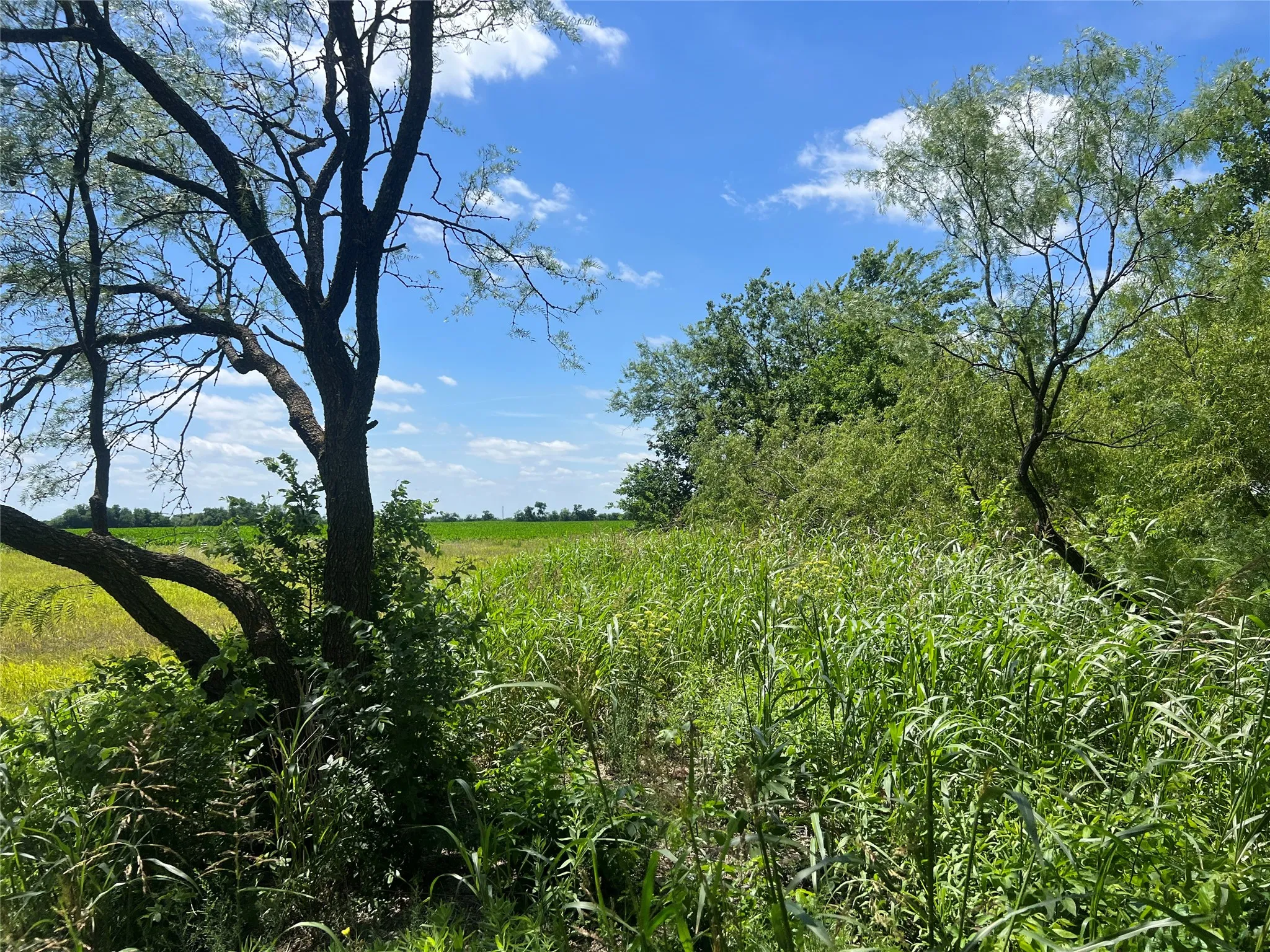 Unimproved Land For Sale in Hill County , Tbd HCR 1153, Blum, Texas 76627, 0, 0, Garage spaces, 0 Sqft, built in 0, mls#21257283, Real Estate Agent in Blum, Homes For Sale in Hill county, Homes For Sale in Blum, Realtor in Blum Texas, Real Estate Brokerage Independent Realty Texas, Luminita Cordes Realtor