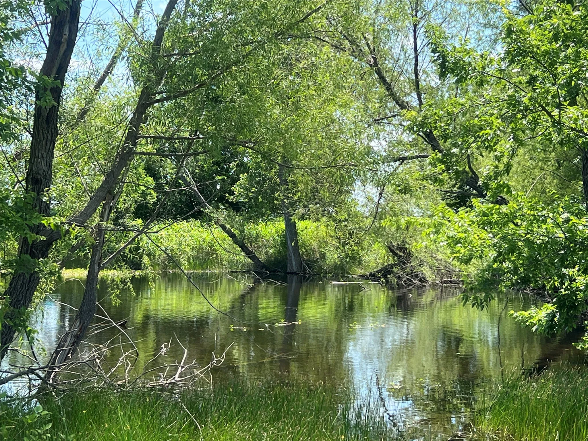 Unimproved Land For Sale in Hill County , Tbd HCR 1153, Blum, Texas 76627, 0, 0, Garage spaces, 0 Sqft, built in 0, mls#21257283, Real Estate Agent in Blum, Homes For Sale in Hill county, Homes For Sale in Blum, Realtor in Blum Texas, Real Estate Brokerage Independent Realty Texas, Luminita Cordes Realtor