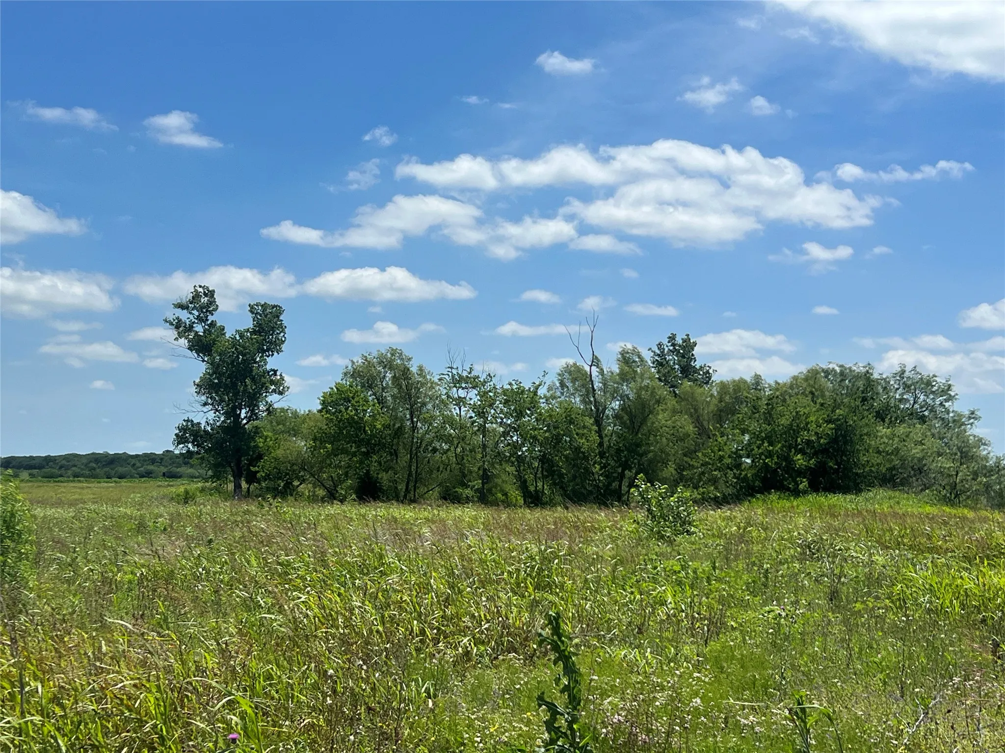 Unimproved Land For Sale in Hill County , Tbd HCR 1153, Blum, Texas 76627, 0, 0, Garage spaces, 0 Sqft, built in 0, mls#21257283, Real Estate Agent in Blum, Homes For Sale in Hill county, Homes For Sale in Blum, Realtor in Blum Texas, Real Estate Brokerage Independent Realty Texas, Luminita Cordes Realtor